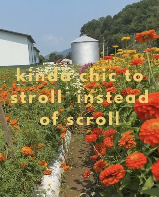A flower garden with orange, yellow, and white flowers, a white building, a metal water tank, and green trees in the background. Overlaid text says, 'kinda chic to stroll instead of scroll.'