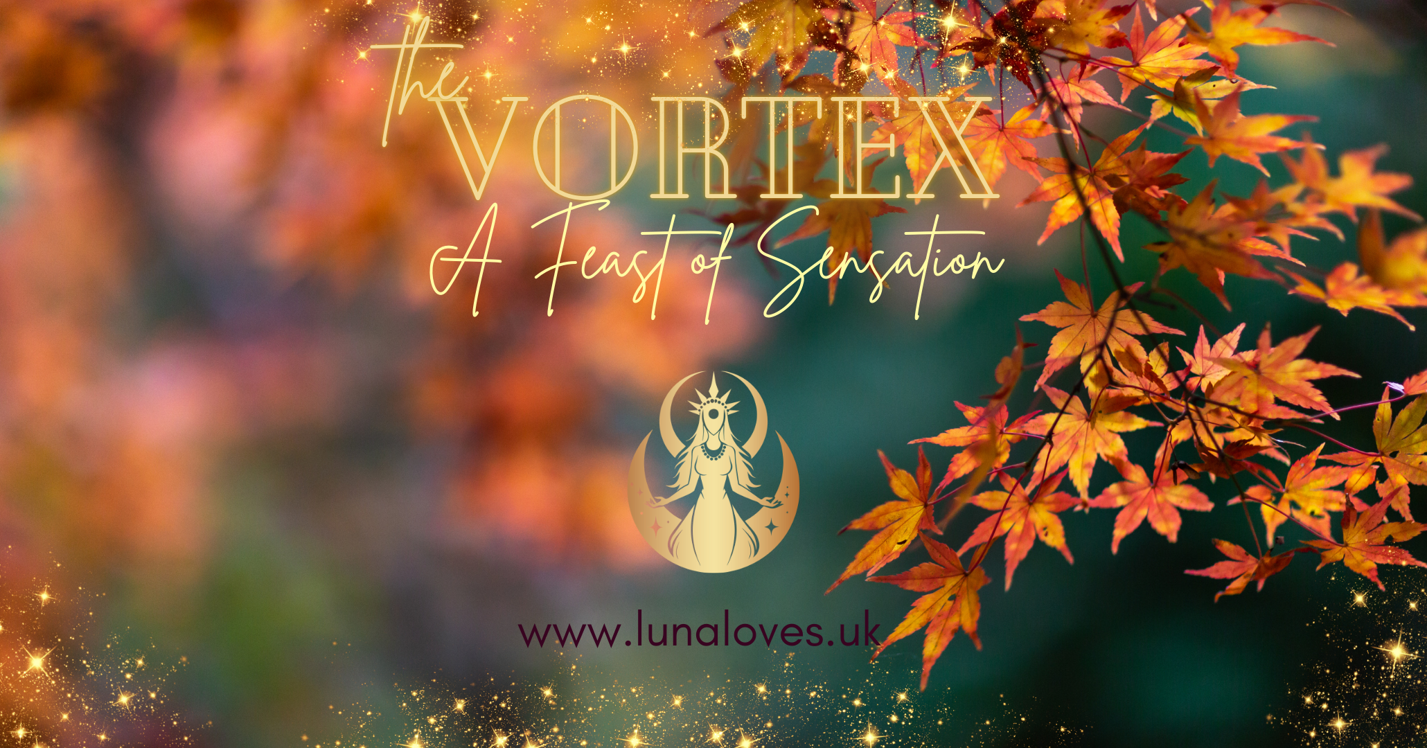The Vortex: A Feast of Sensation