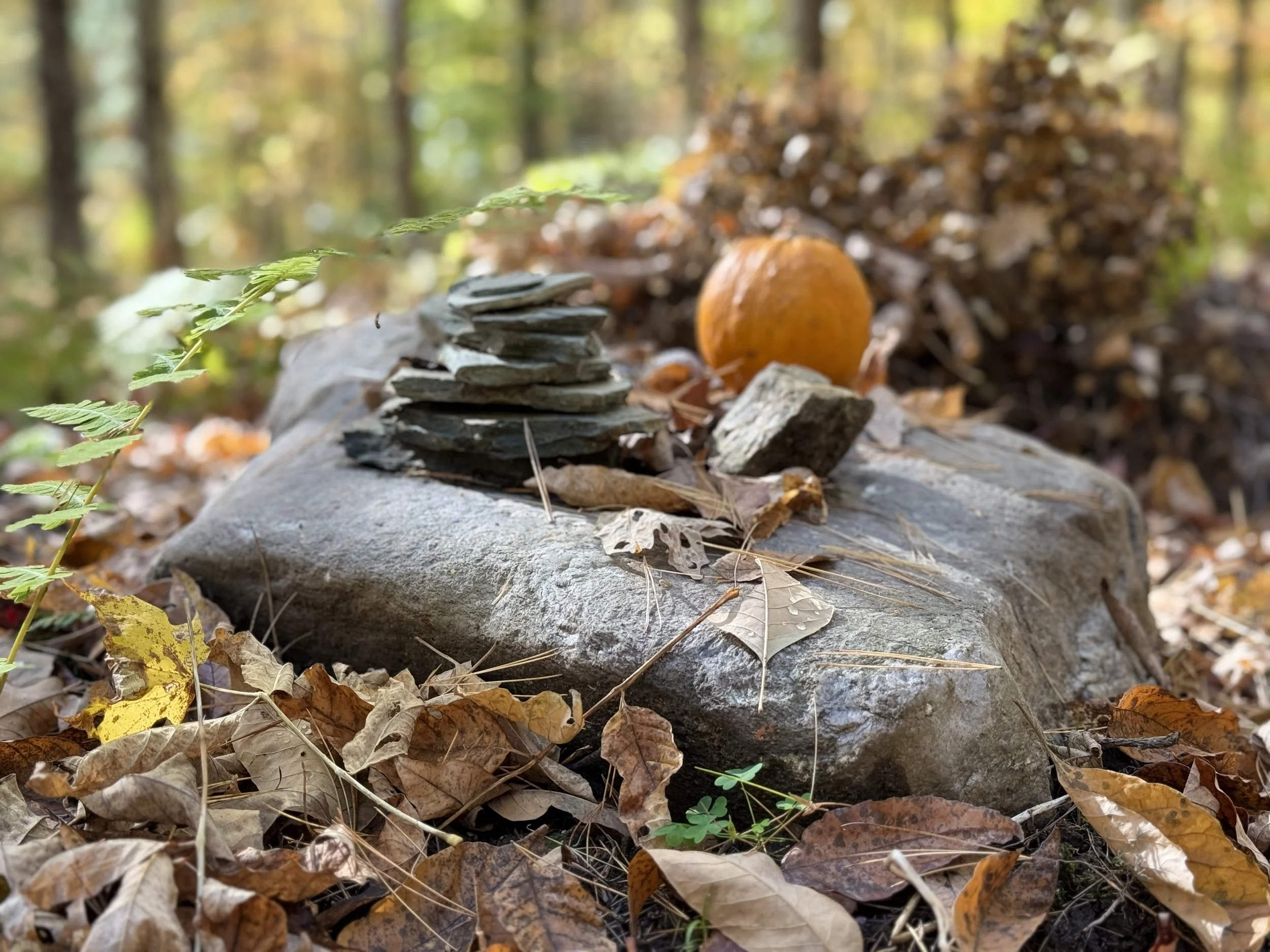 Natural Burial Documentary