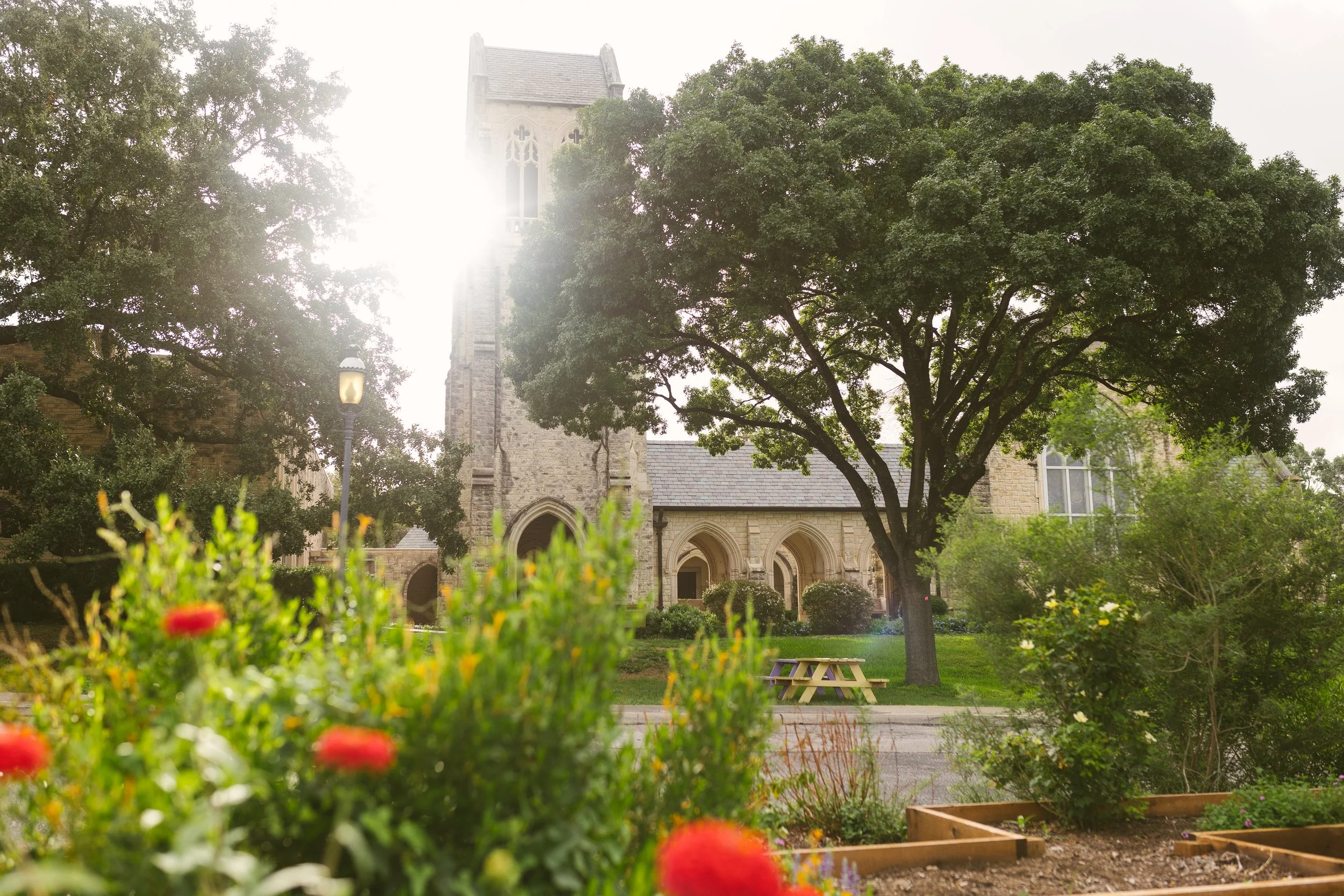 Views from The Ridge 4.15.26