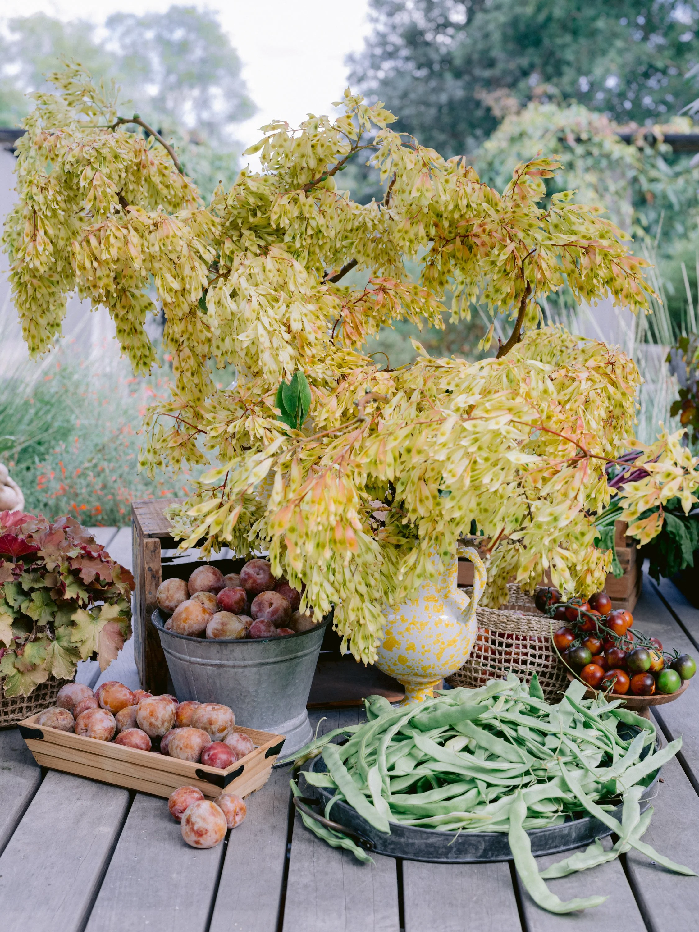 citrus-inspired-event-design-harvest-still-life.jpg