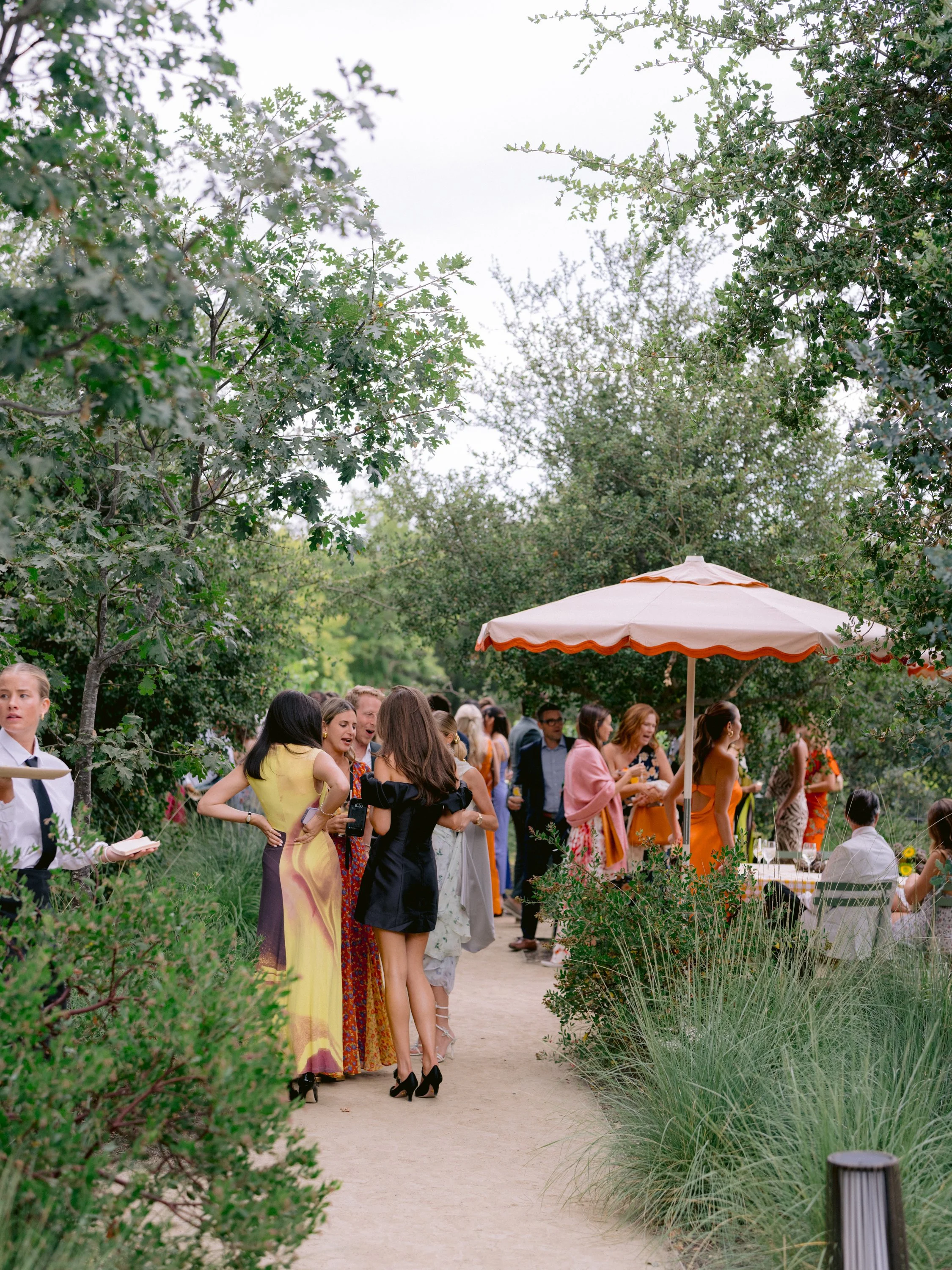 Welcome Party | Healdsburg