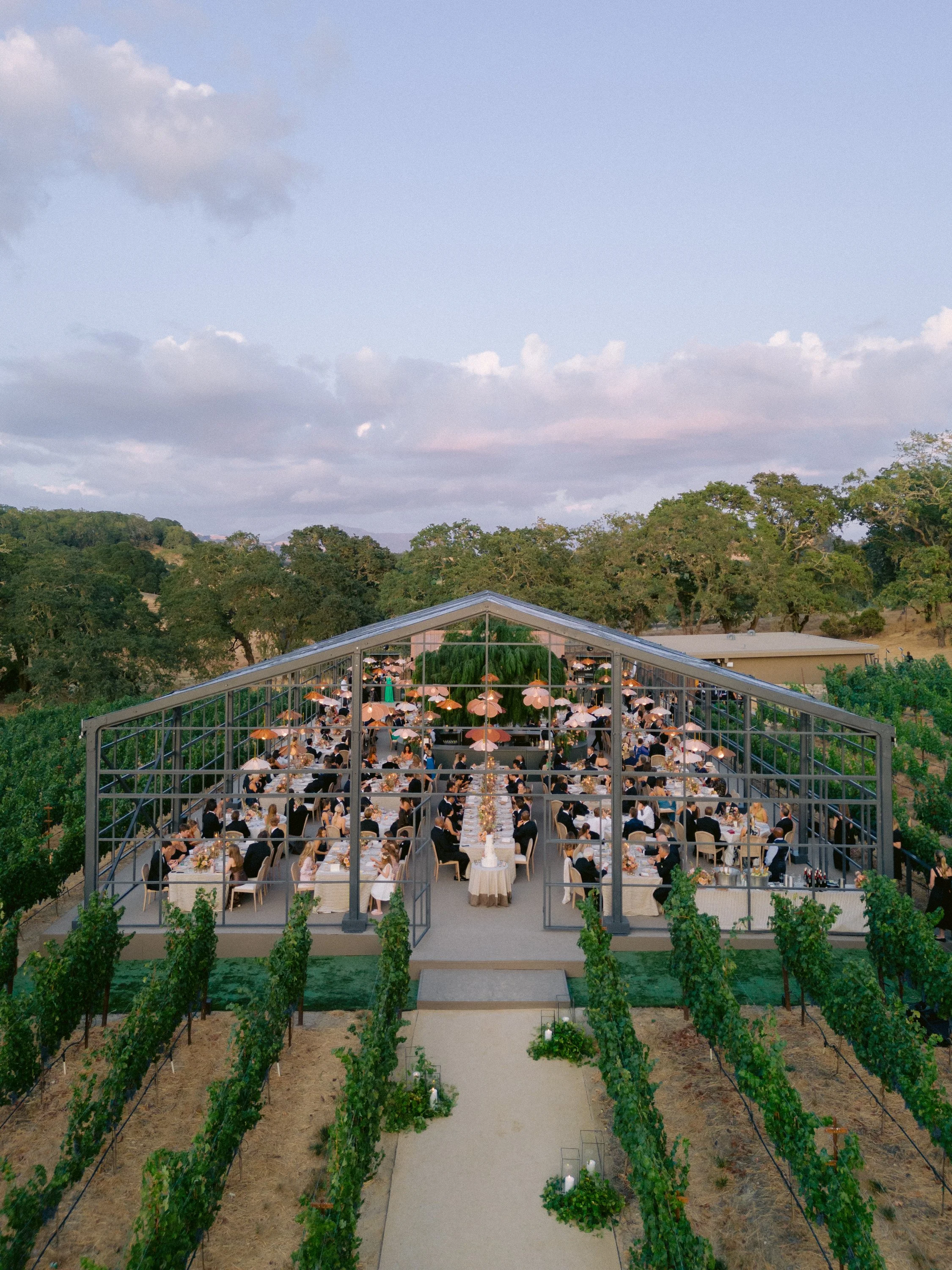 montage-healdsburg-wedding-reception-aerial-guests-clapping-live-tree.jpg