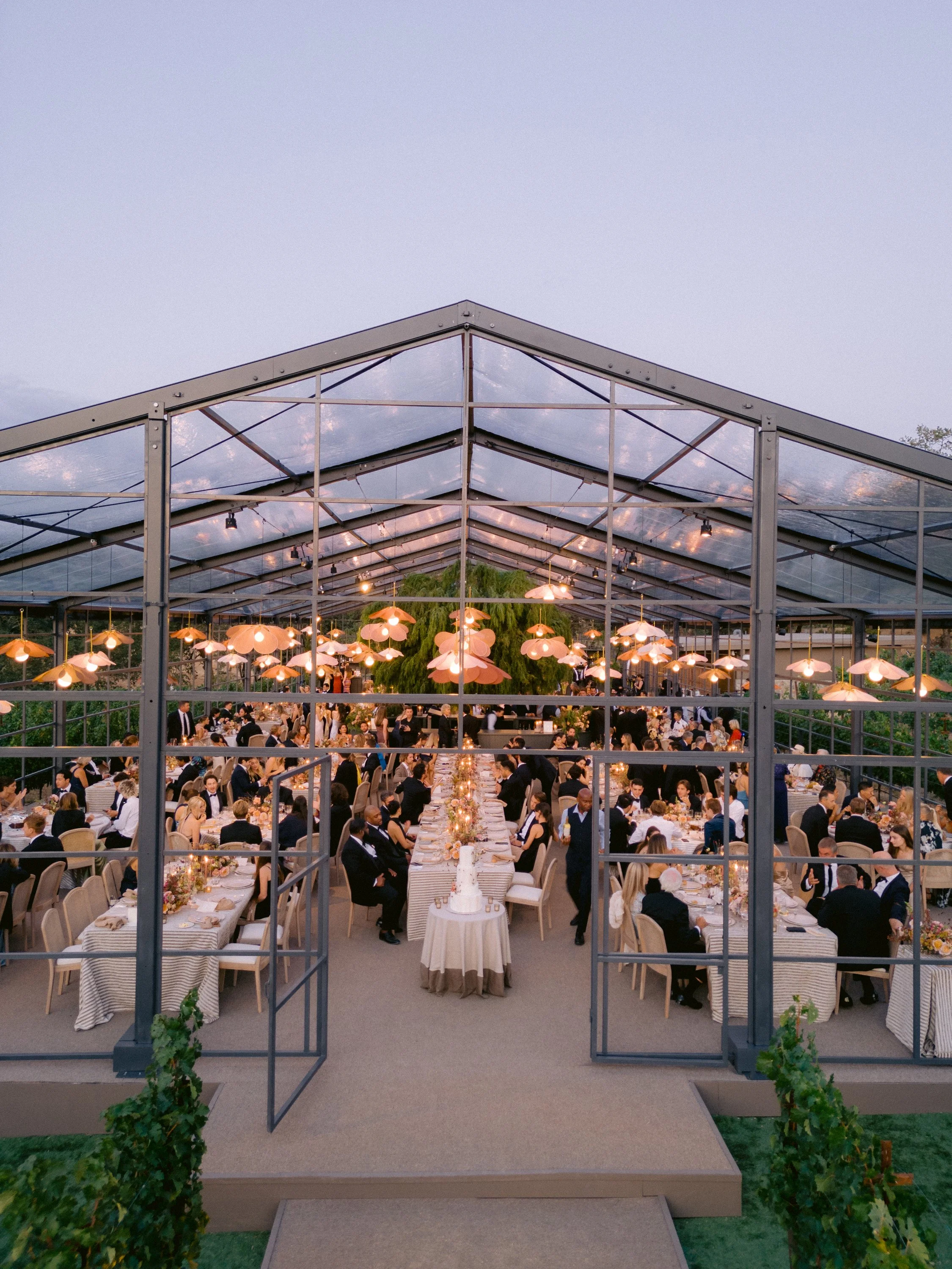 montage-healdsburg-wedding-logan-chasen-bw-vineyard-afterparty-walk.jpg
