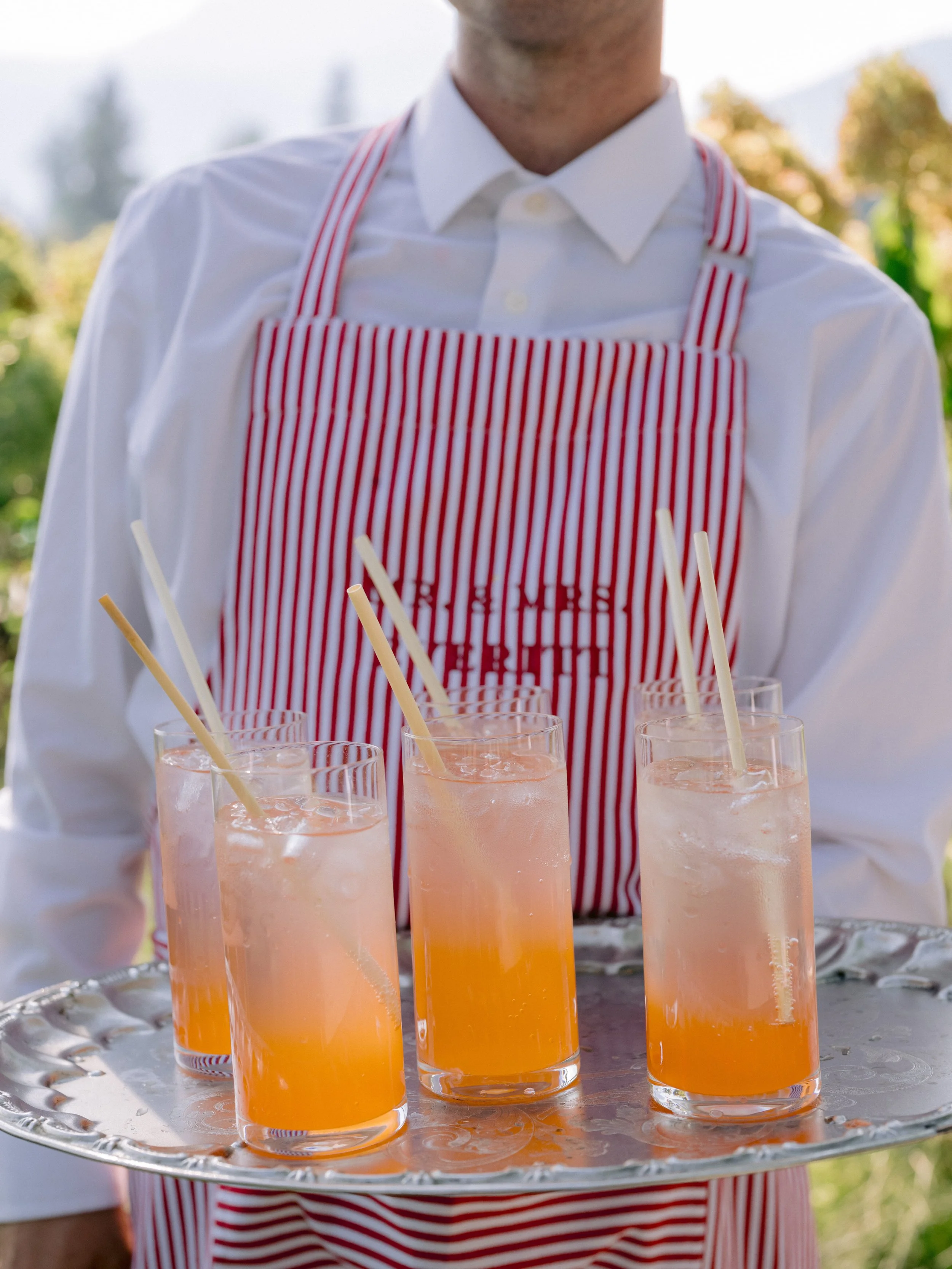 Laurie-Arons-Special-Events-Cocktail-Hour-Montana.jpg