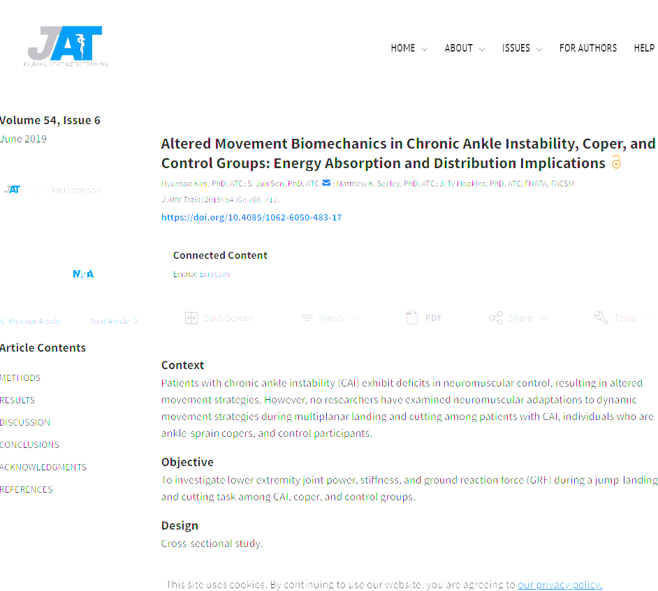 Ankle Stability Importance