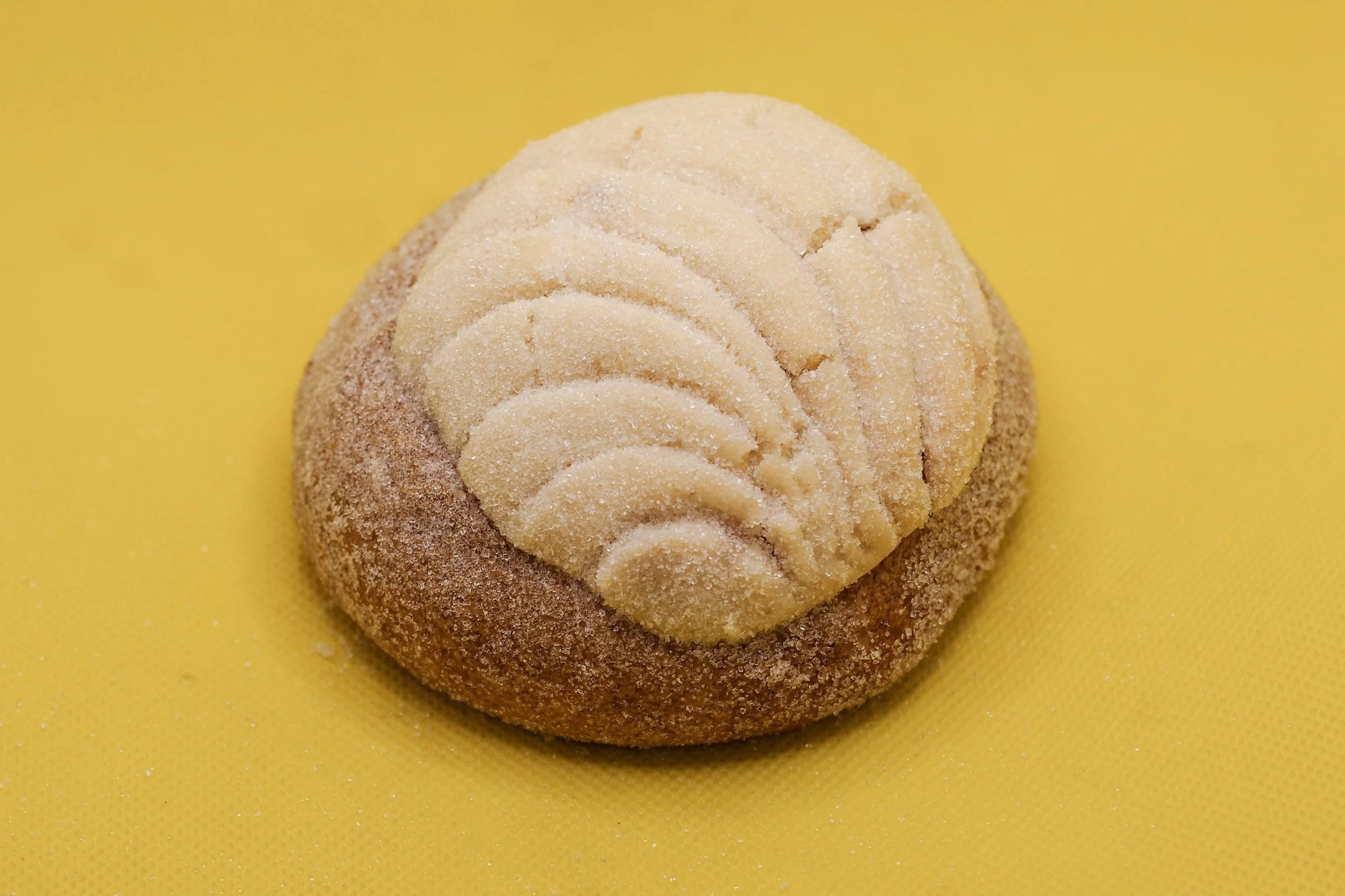 Image 16