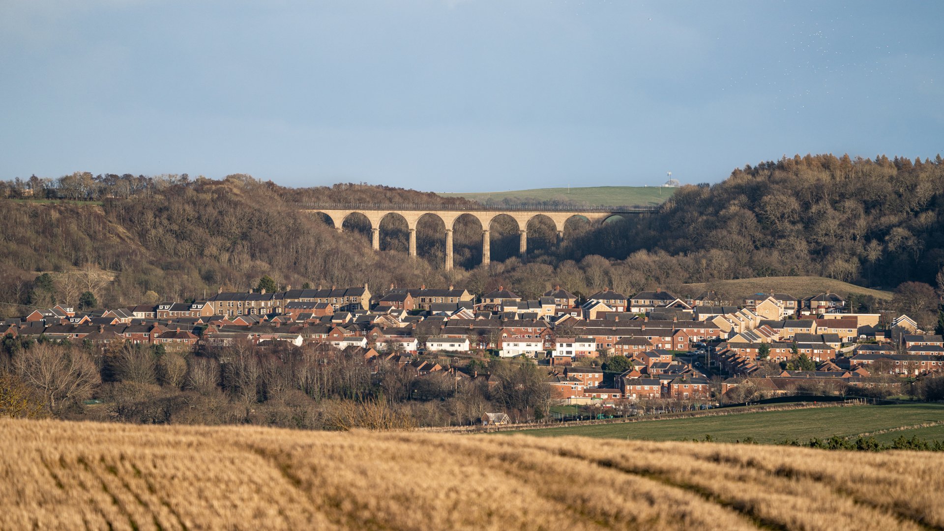 SR404897 (1)_1920L.jpg