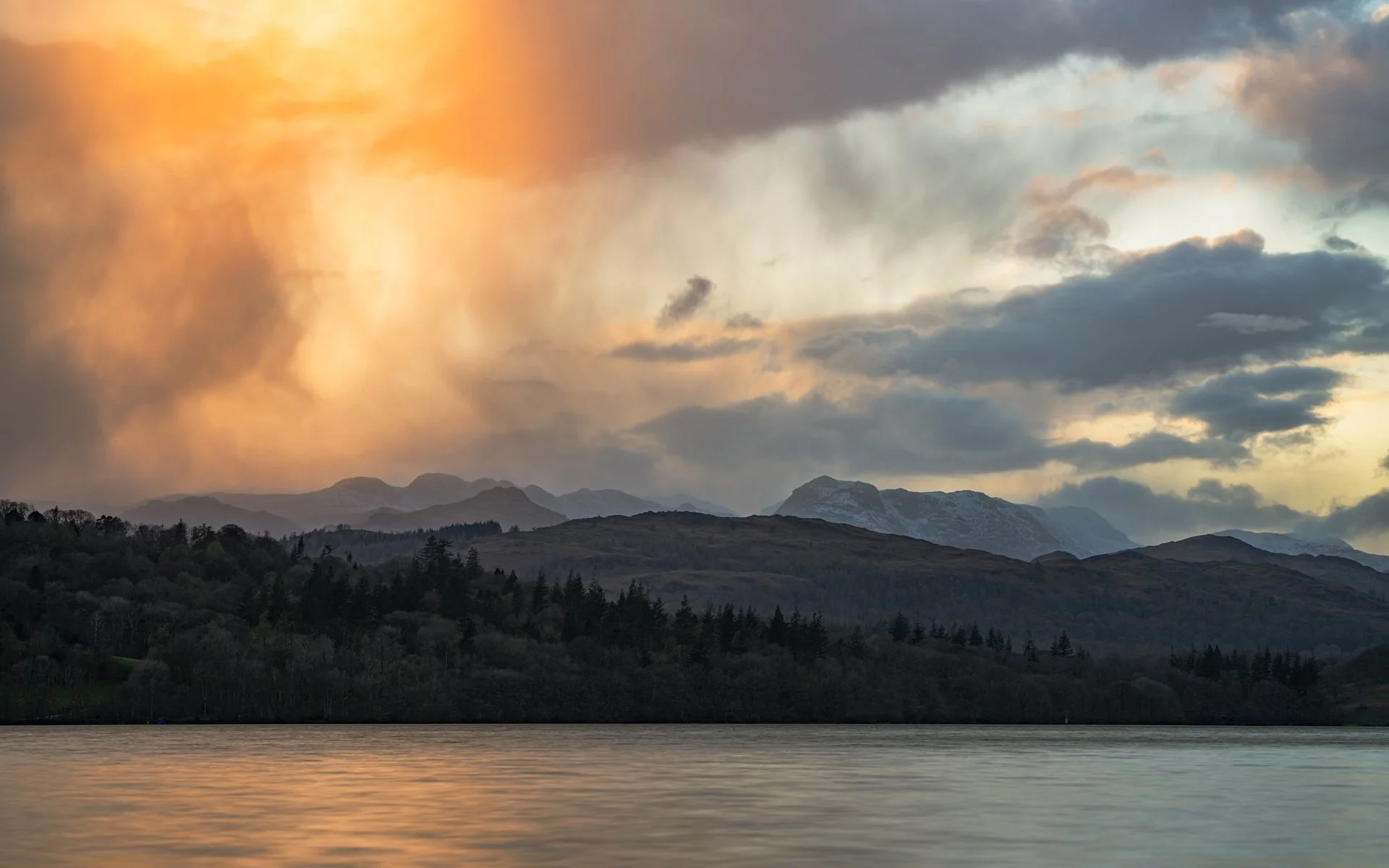 SR405845_1920L.jpg