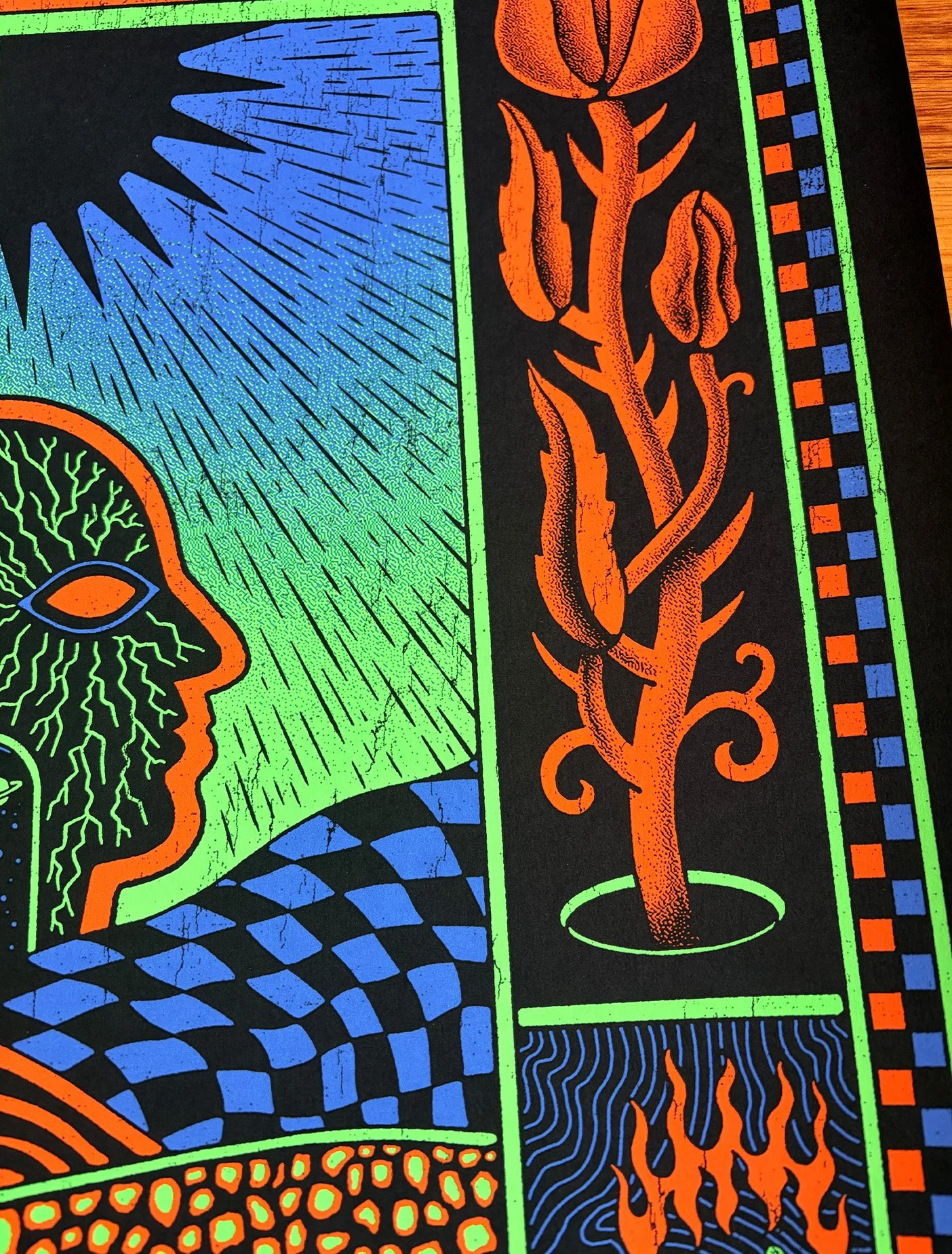 03-TY-SEGALL-by-amy-jean-art.jpg