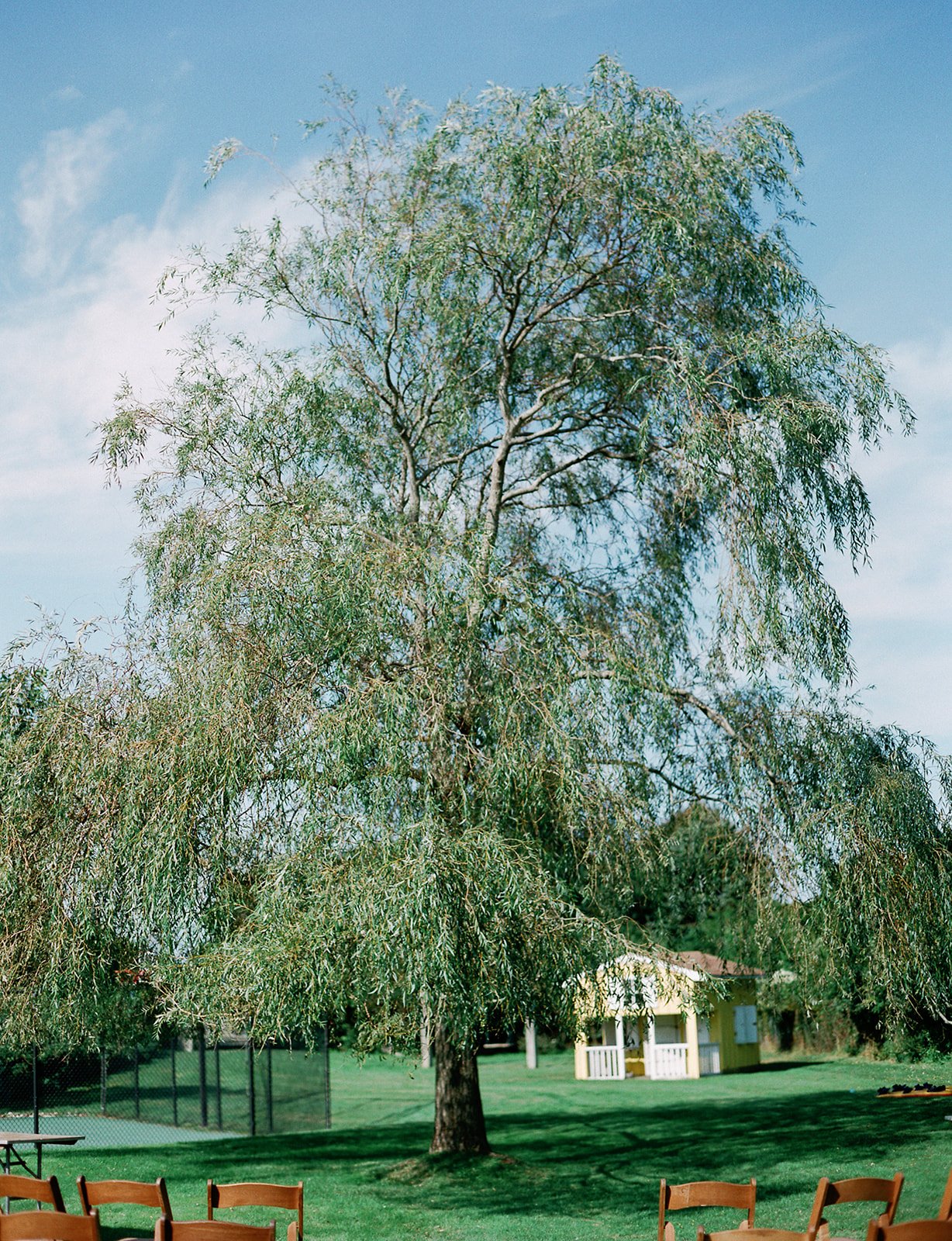 BLB Events_Dottie Morris Photography_Hamptons Backyard Wedding_NYC Wedding Planner_Hamptons Wedding Planner