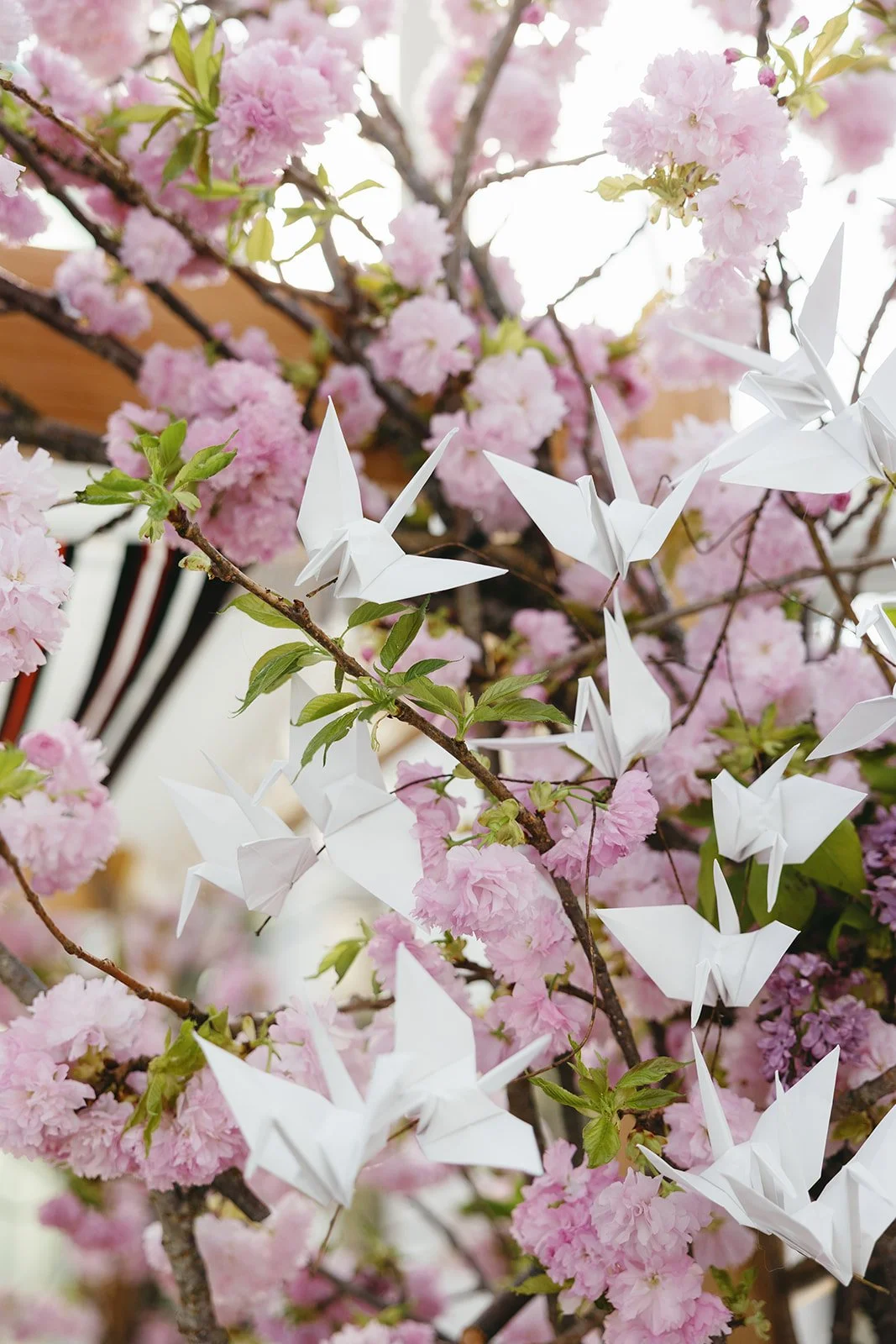 Heartfelt Spring Wedding at Brooklyn Botanic Garden_BLB Events NYC_Eryc Perez de Tagle