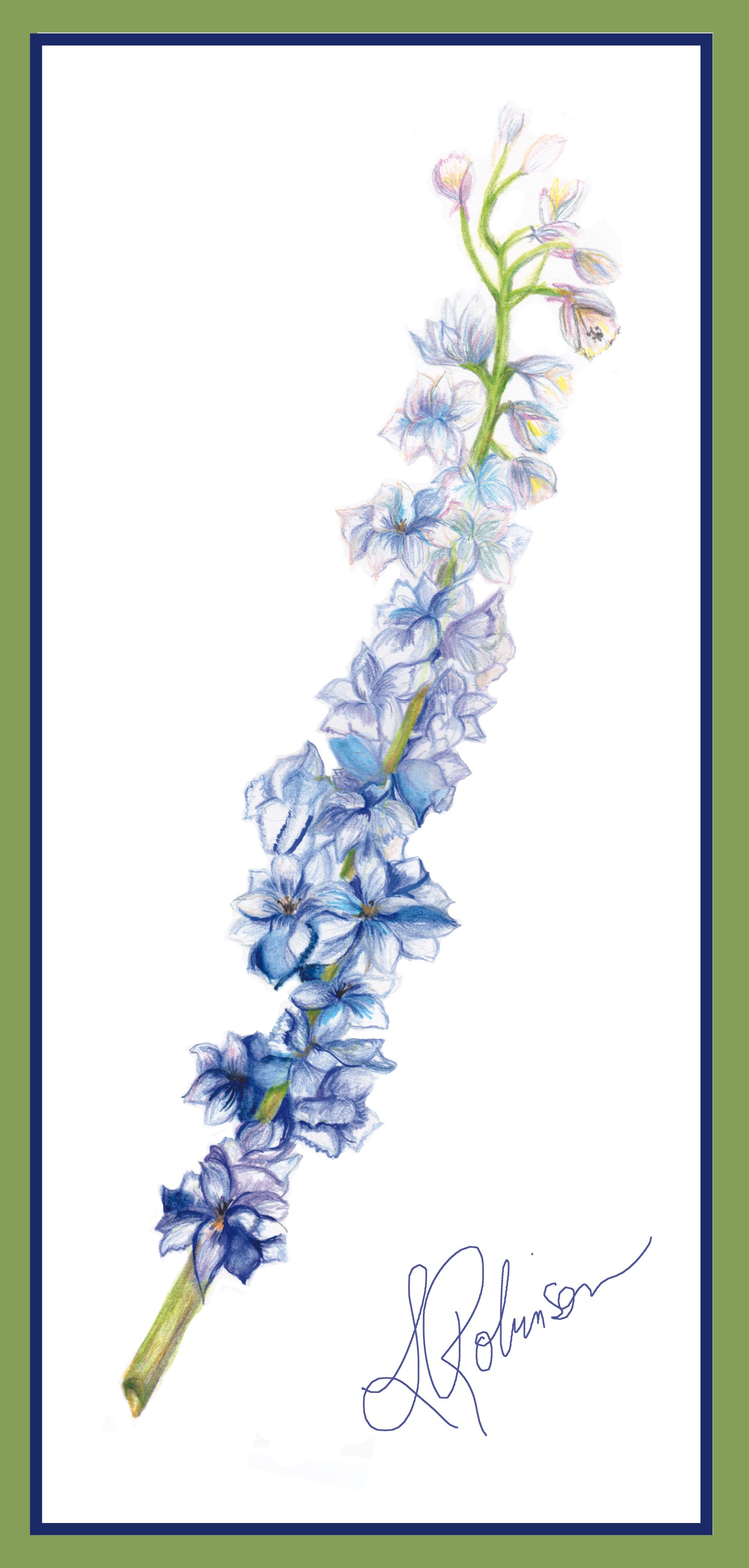 Delphinium  2023.jpg