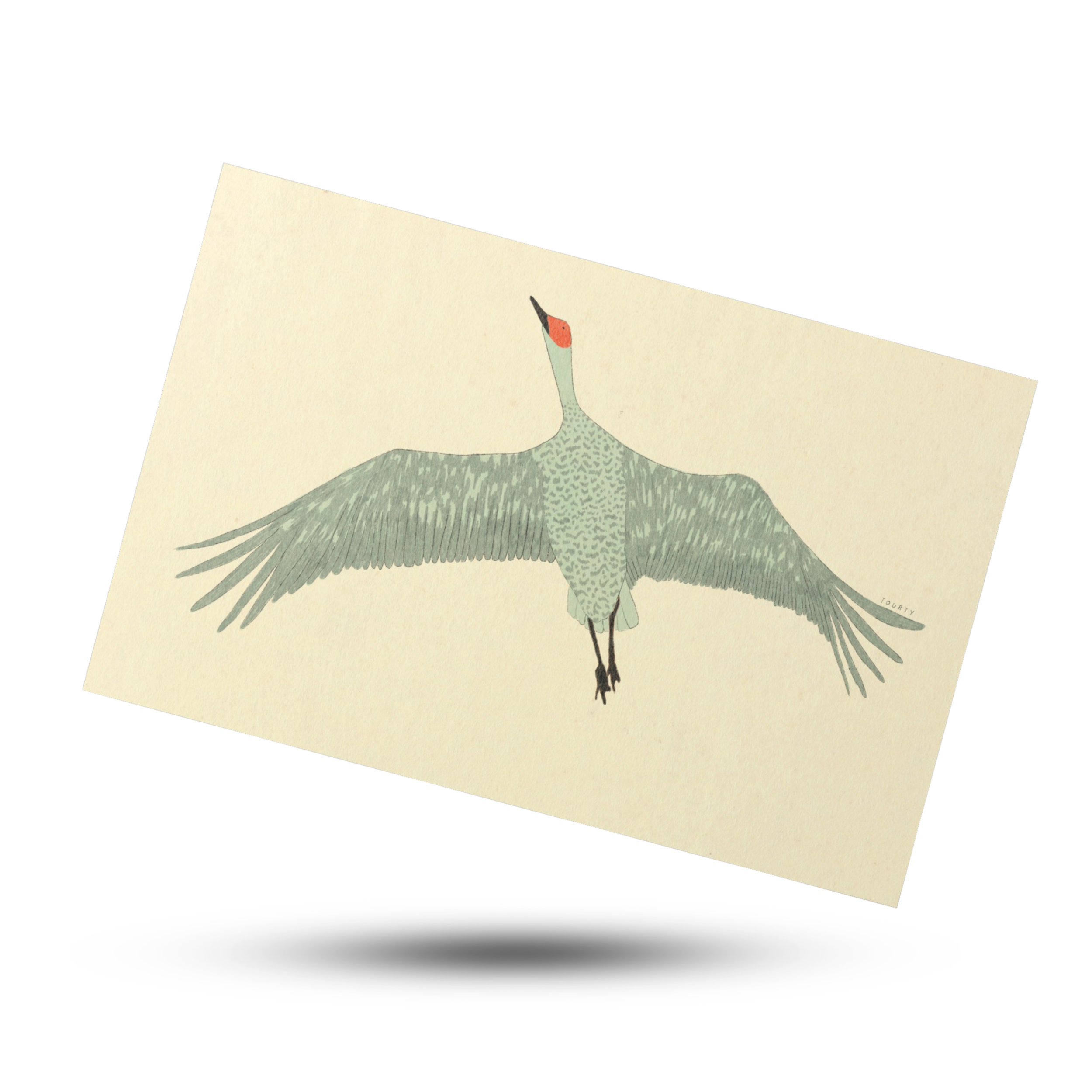 Crane
