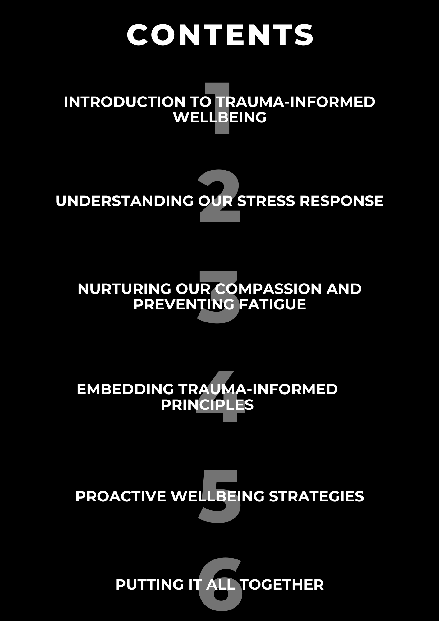 Wellbeing eBook for trauma-informed professionals.
