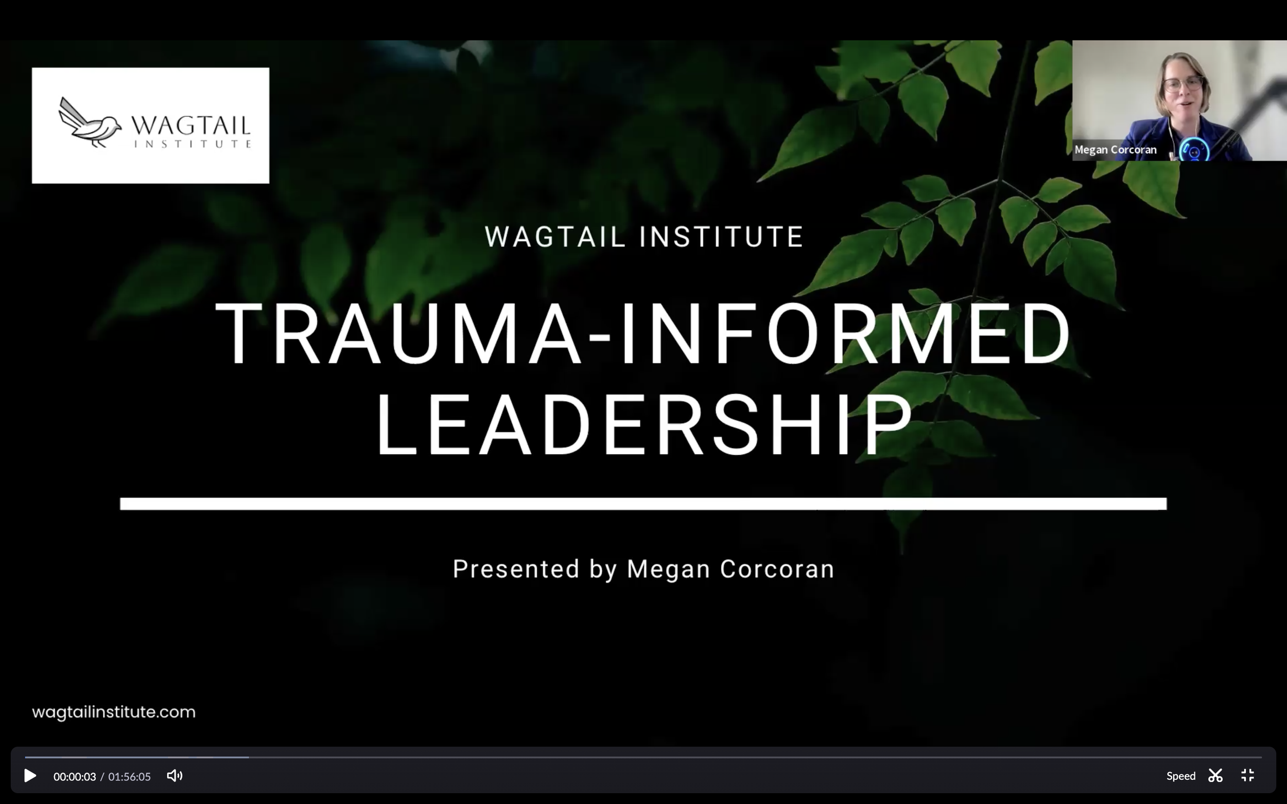 Screenshot 2025-11-19 at 4.14.36 pm.png