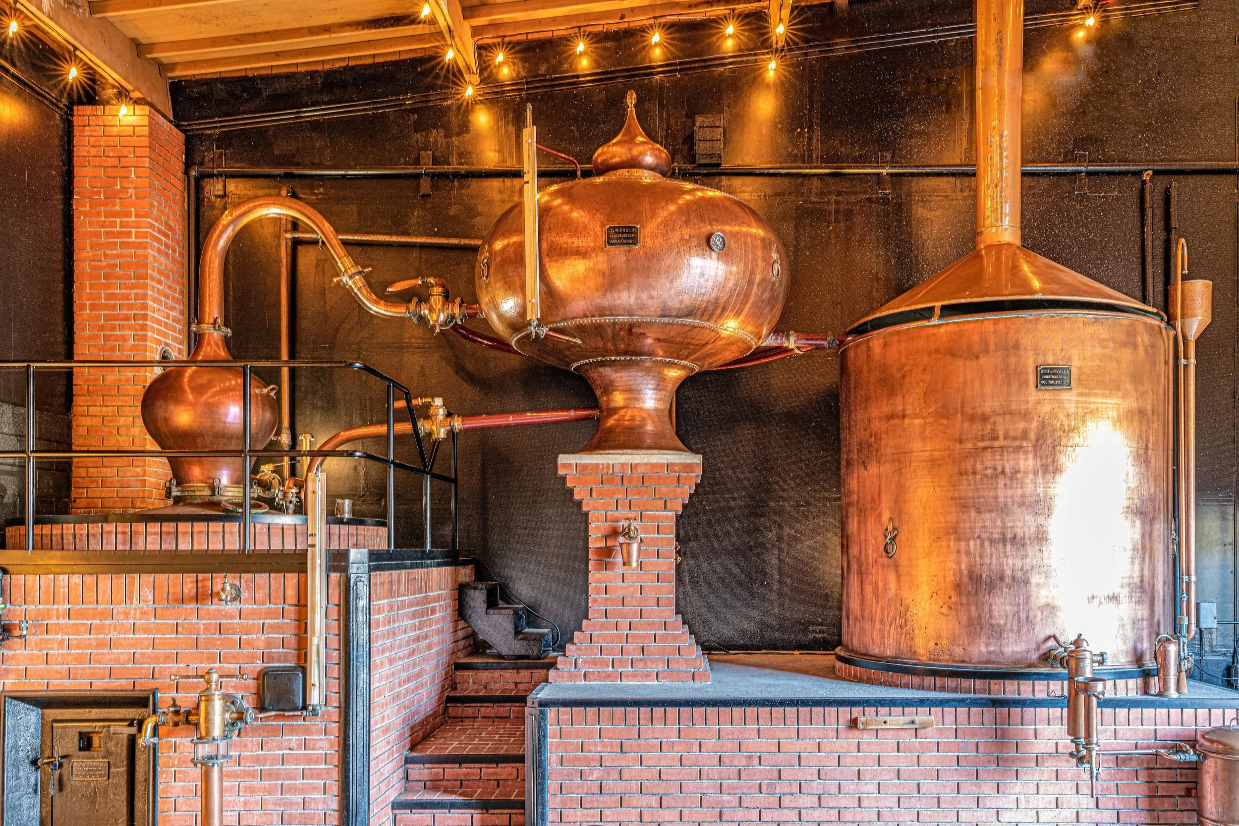 Alembic Still-small.jpg