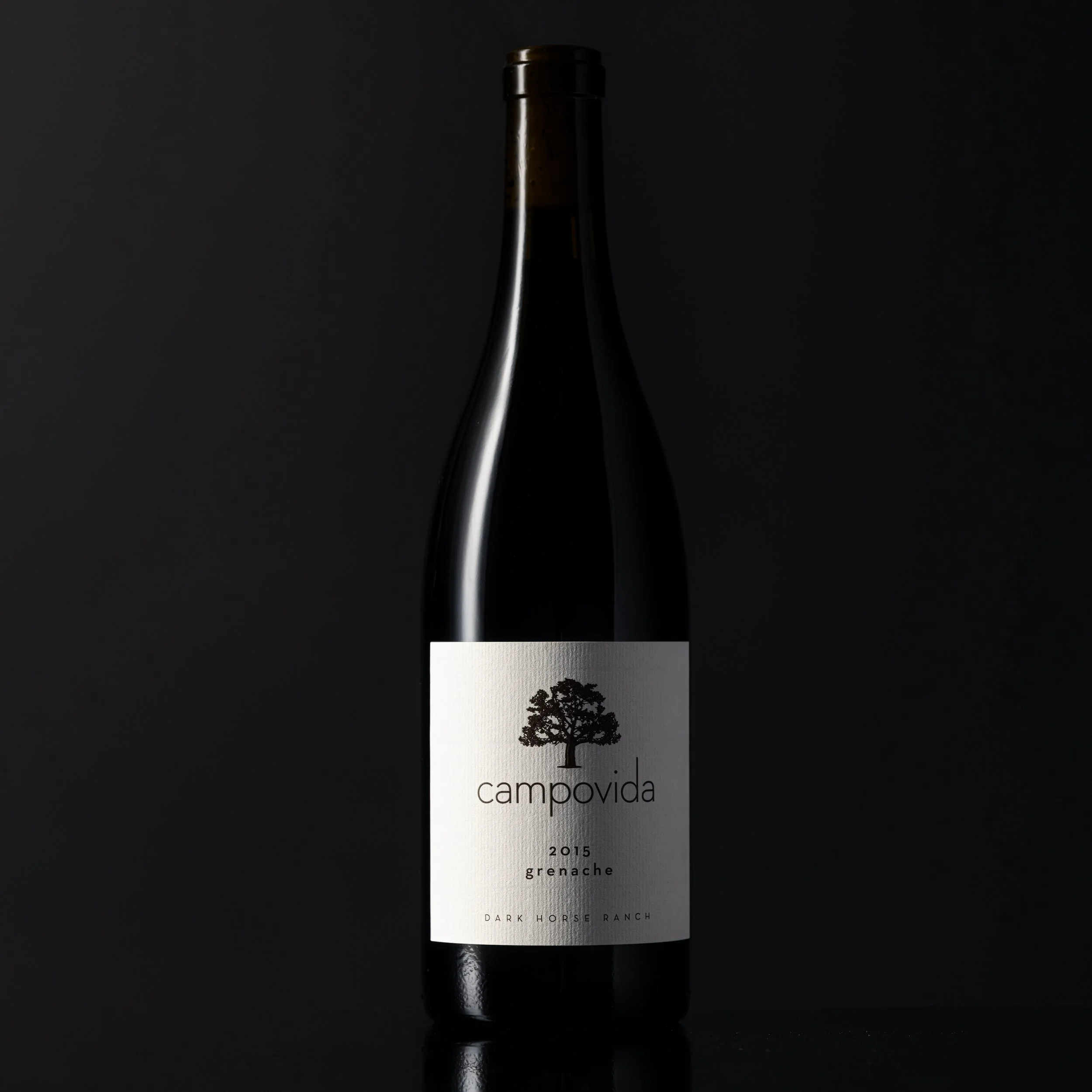 Campovida Dark Horse Ranch-2 small.jpeg