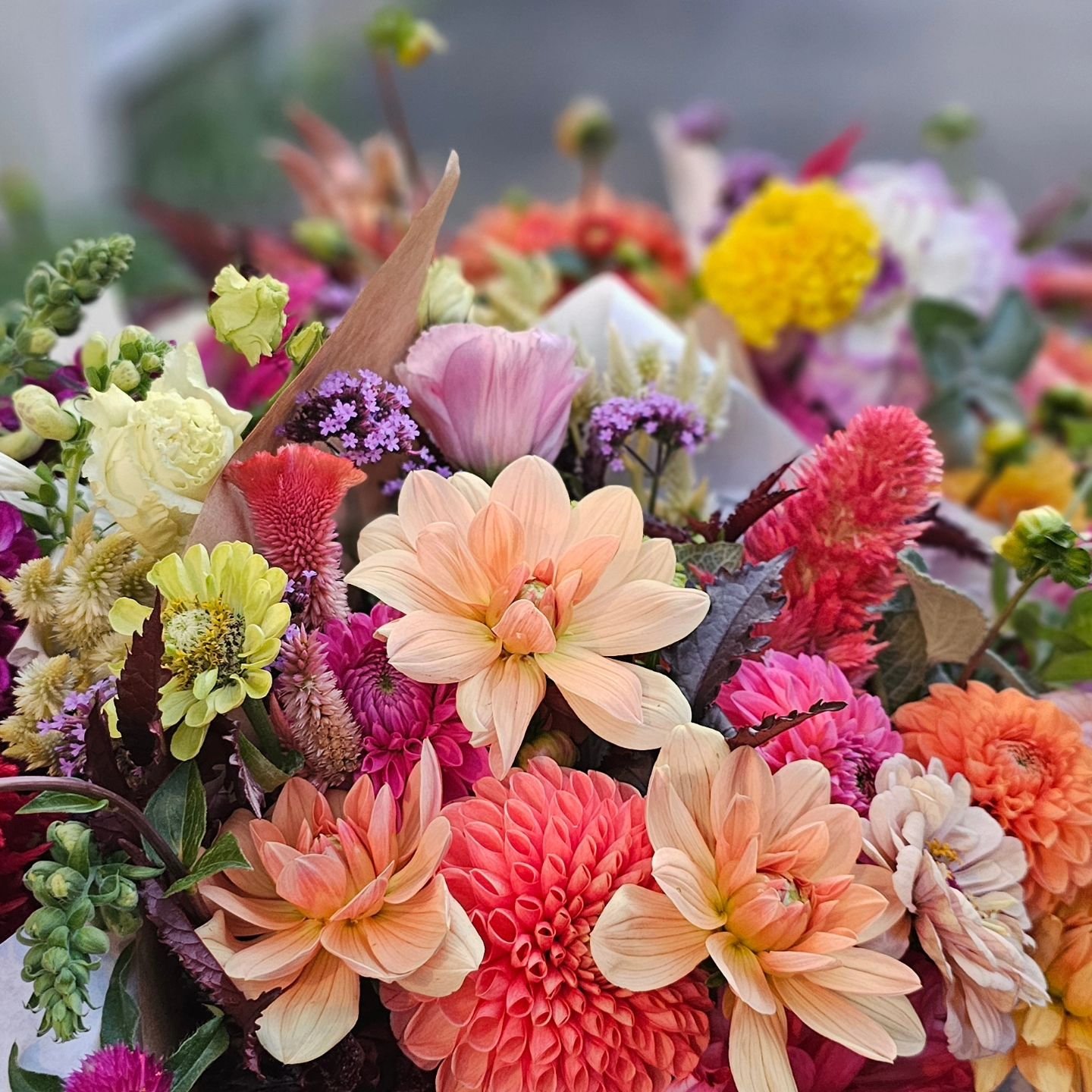 This week's fall subscription bouquets.