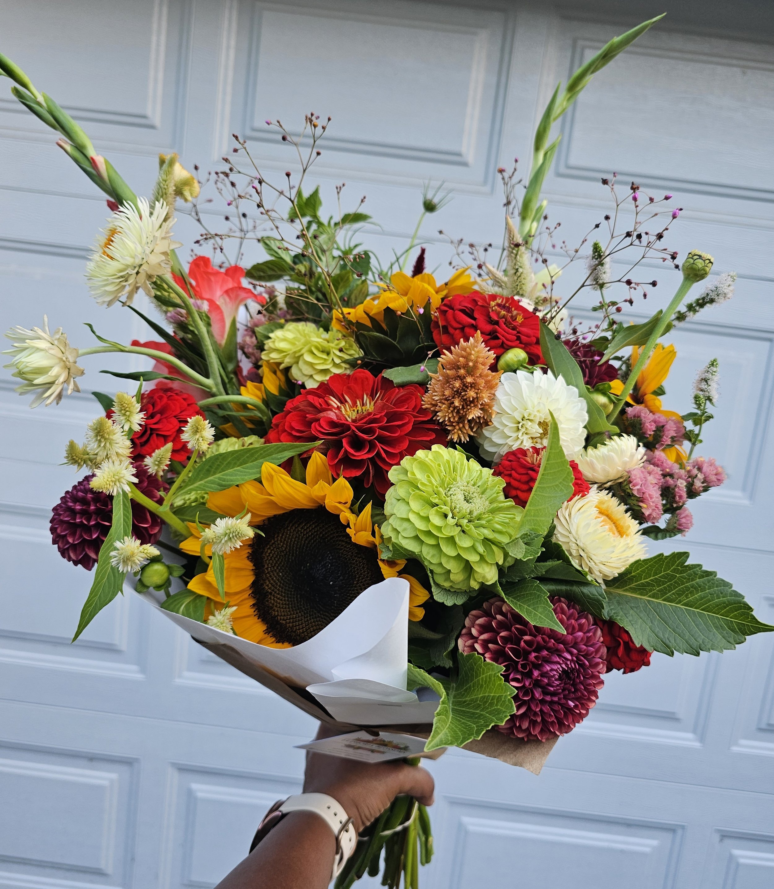 Fall Subscription 2025 (Sep - Oct)