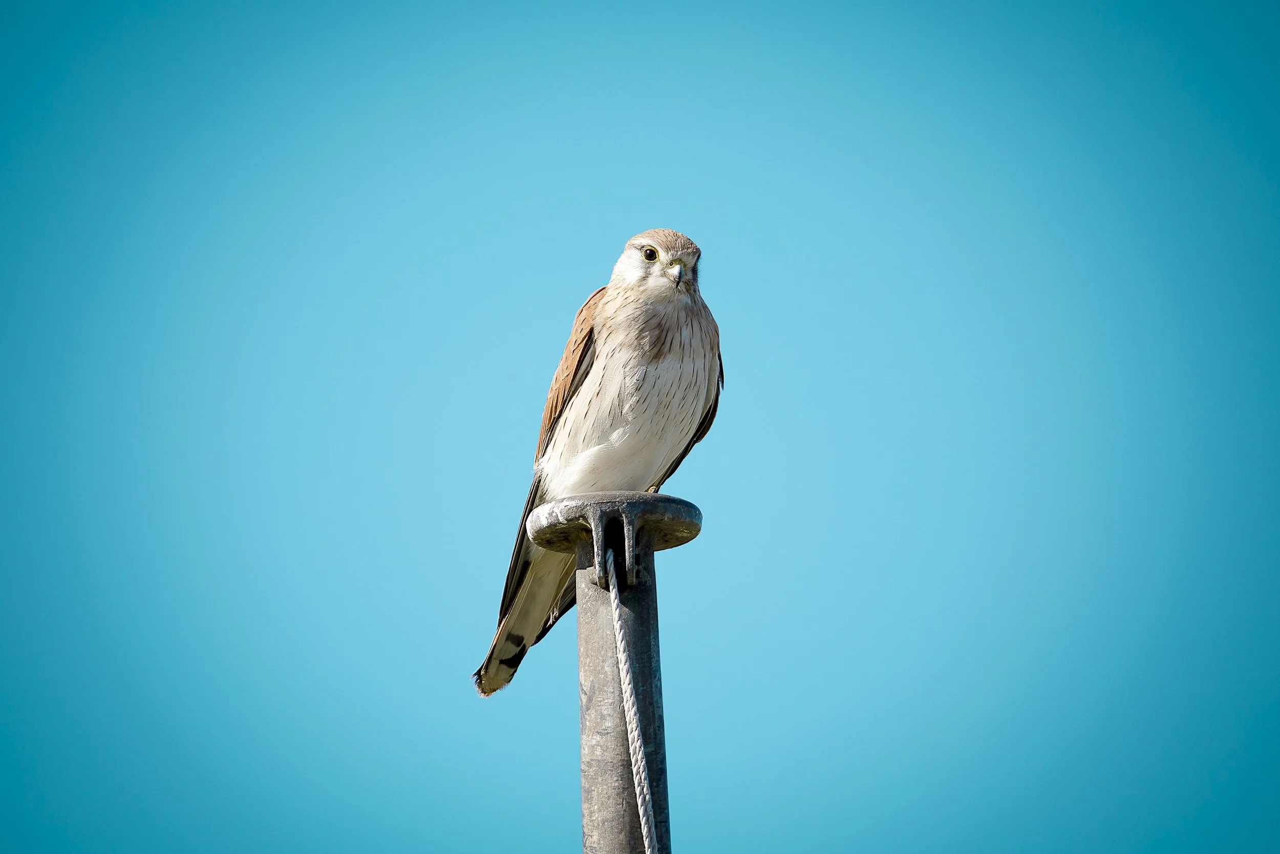 _M5A9917-Edit.jpg