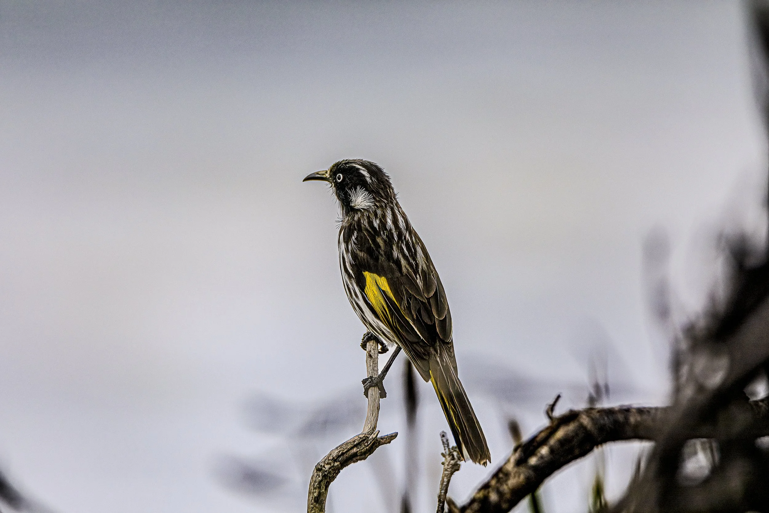 _M5A9797-Edit.jpg