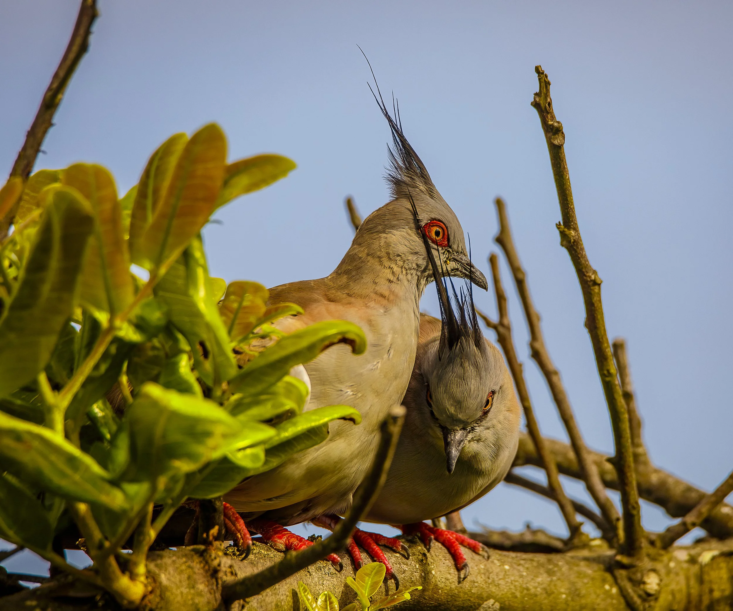 _M5A1386-Edit.jpg