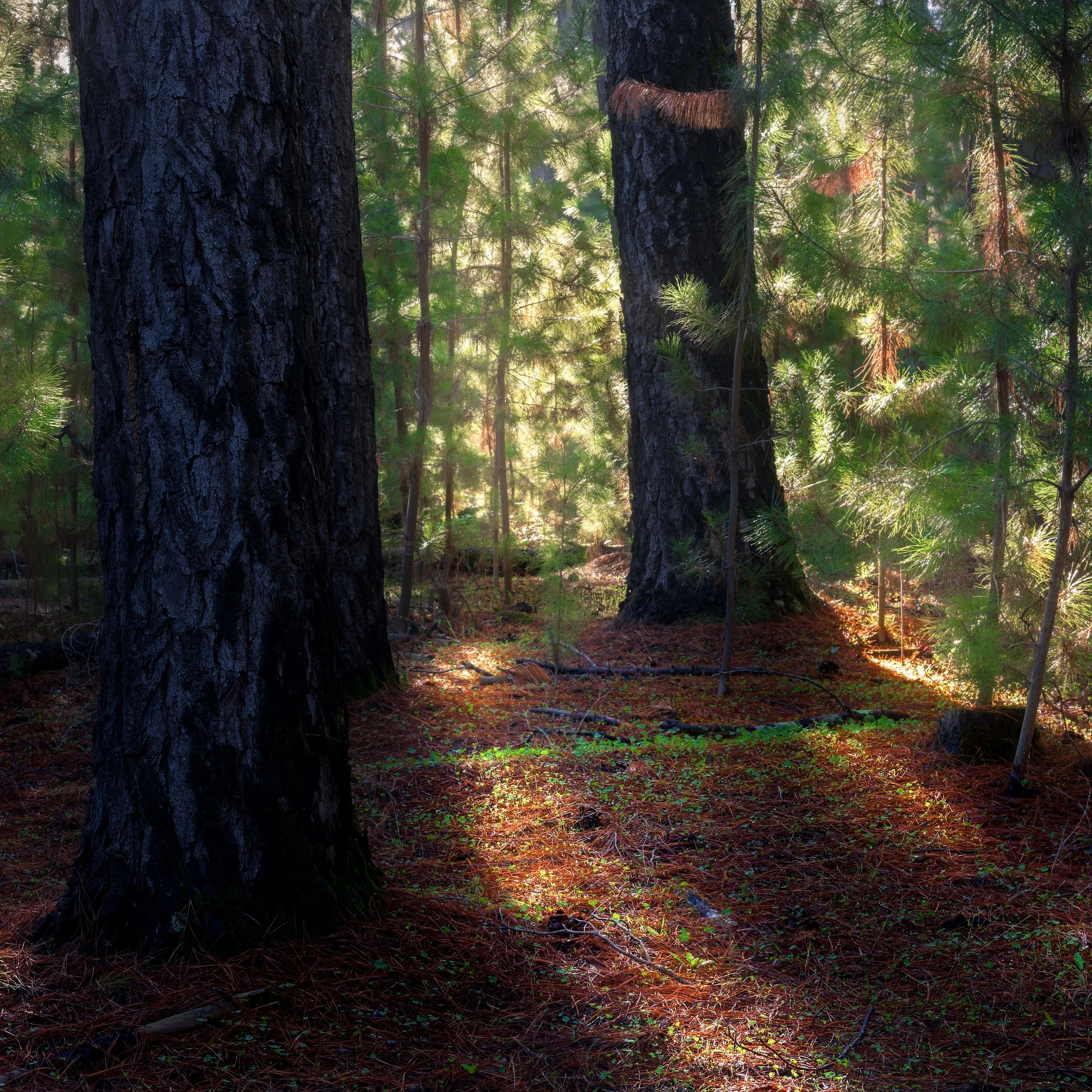 Kittys Gorge Saturated.jpg