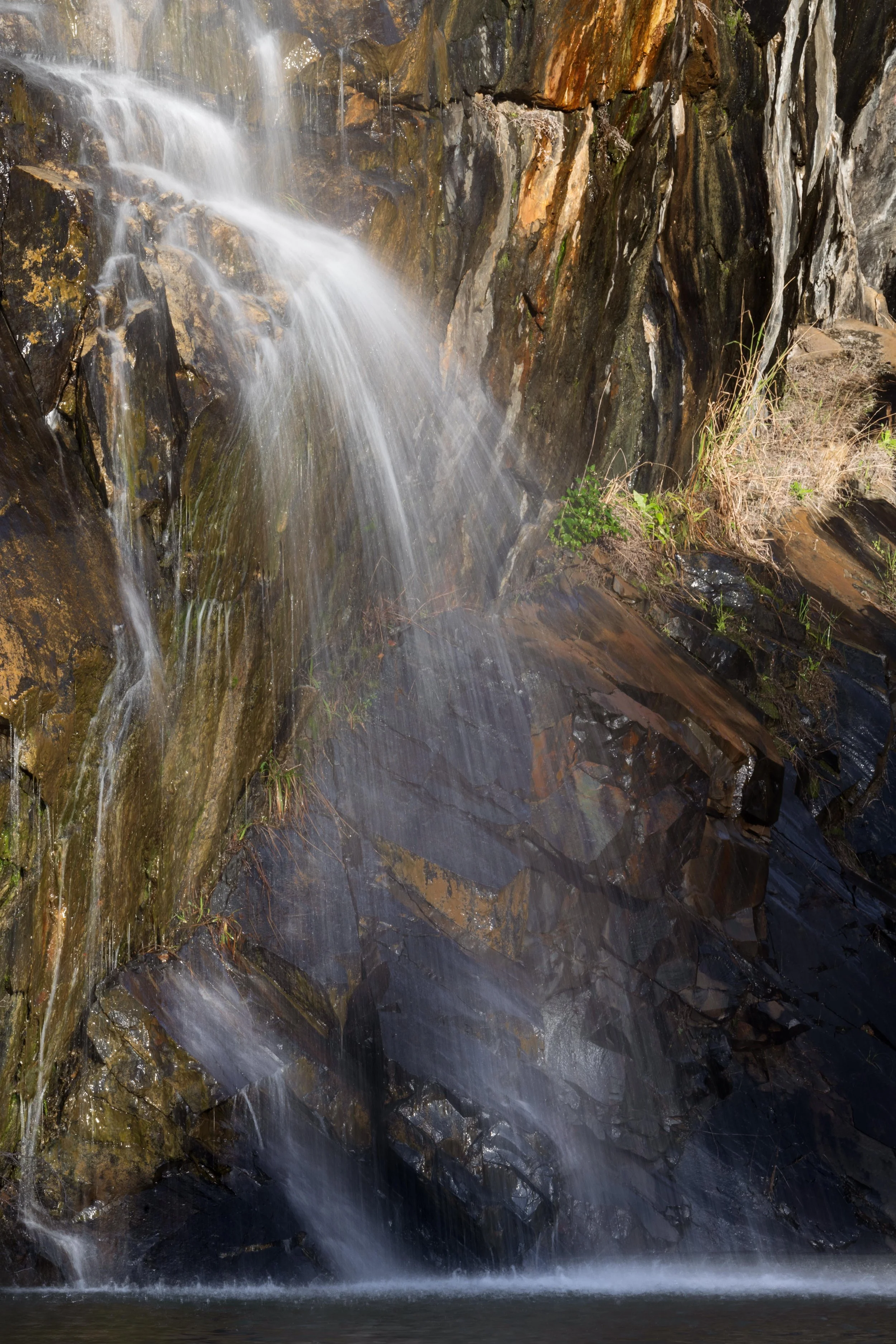 Ellis Brook Quarry 3.jpg