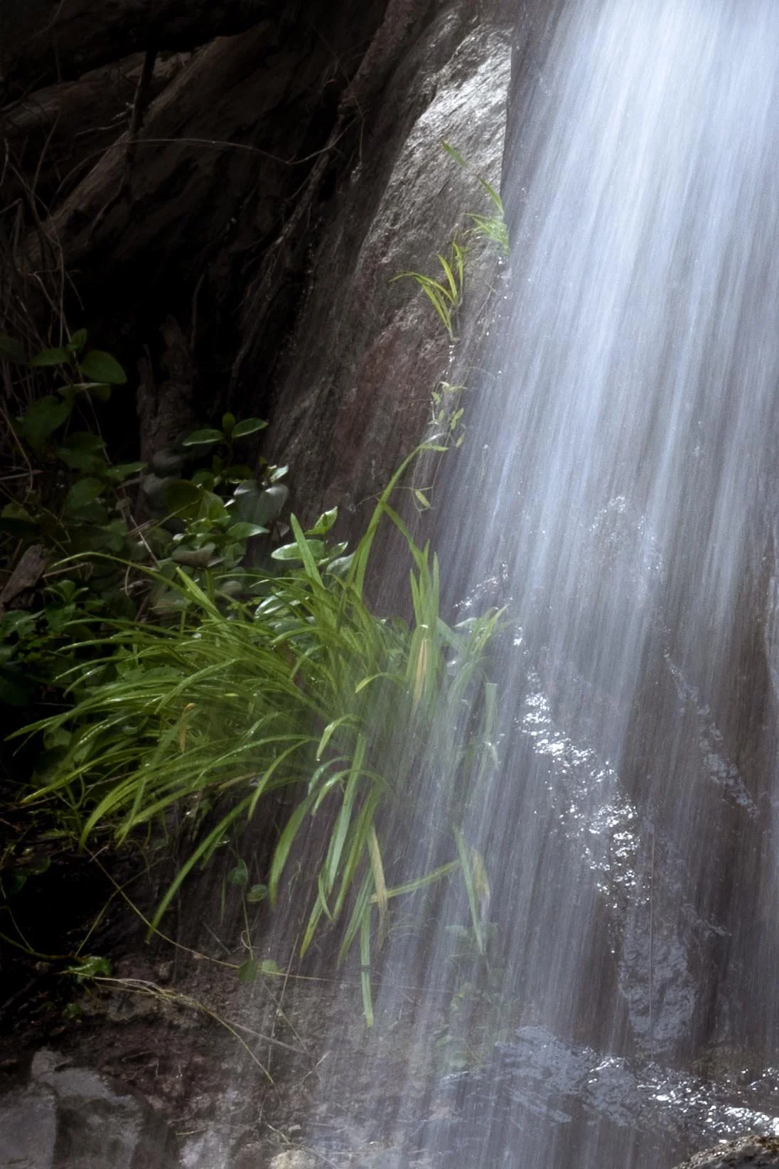 Whistlepipe Gully.jpg