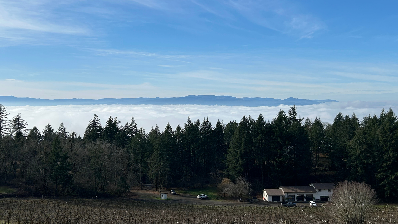 Scenic view of a forest with evergreen trees, a few houses, and cars, under a blue sky with distant mountain range above a layer of clouds.