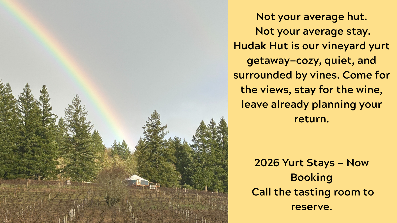A landscape with a rainbow arching over a vineyard and tall pine trees, with a small building or cabin at the base of the trees. A yellow text box overlays the right side of the image.