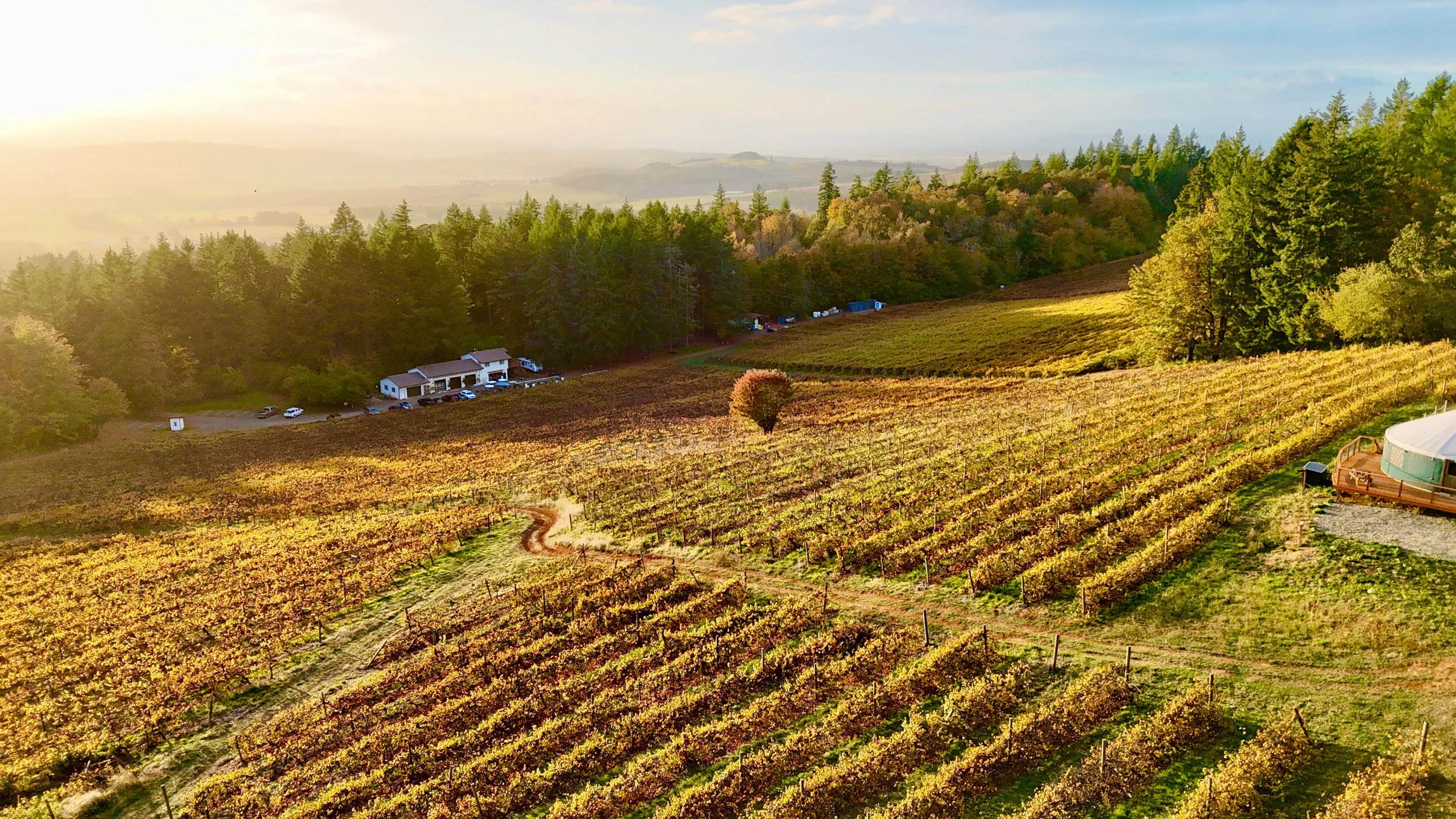 dji_fly_20261009_180142_0851_1791594284100_photo.jpeg