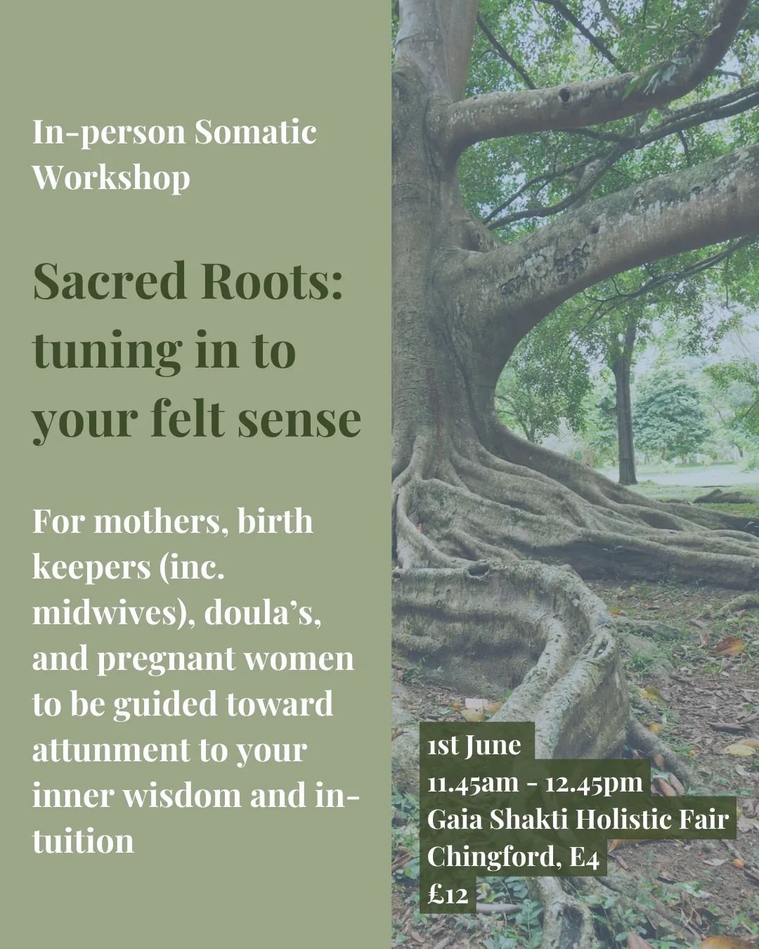 🌳 IN-PERSON WORKSHOP 🌳

There is infinite wisdom flowing through our bodies. 

A busy thinking brain can often dampen our connection to that wisdom and reduce our ability to know it, or hear it. 

In this workshop, you will be guided, to the level 