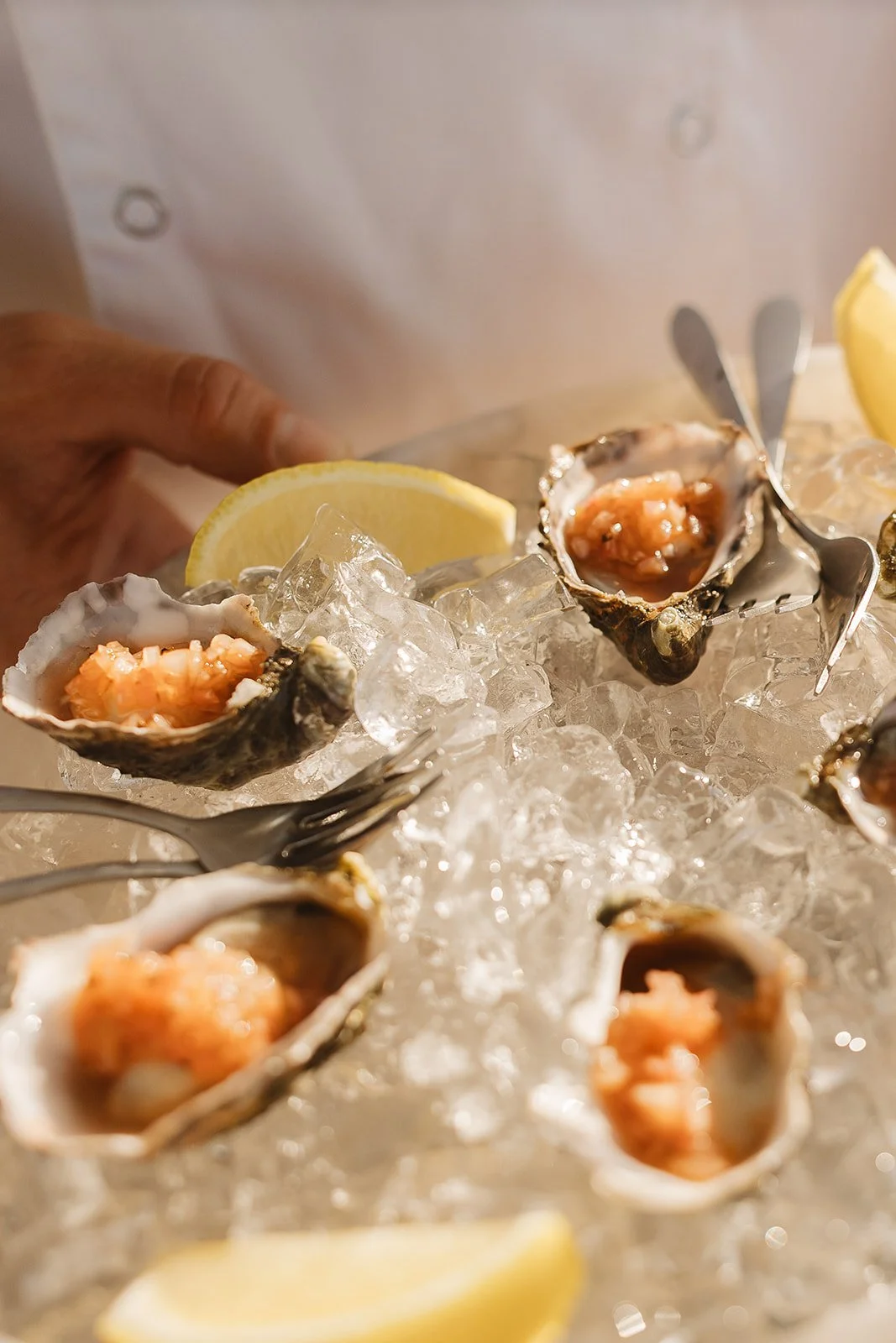 MRPCO X ECLIPSE -35.jpg