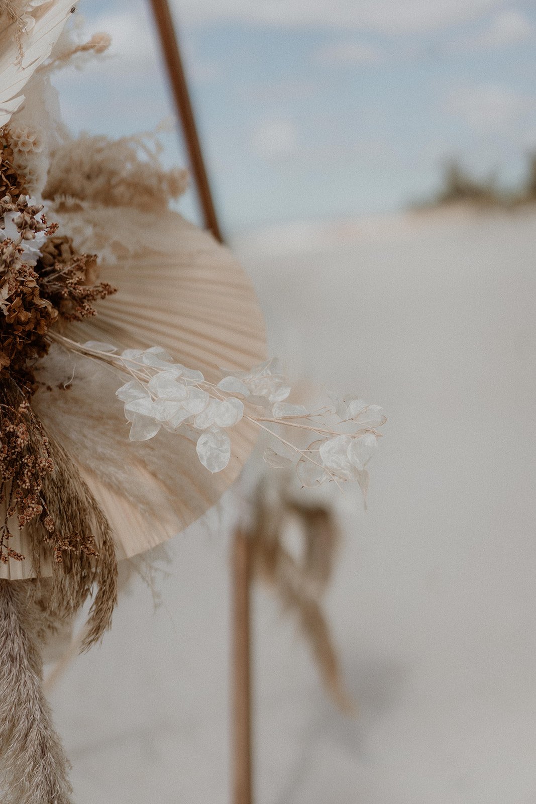 Jason and Ruth -3.jpg