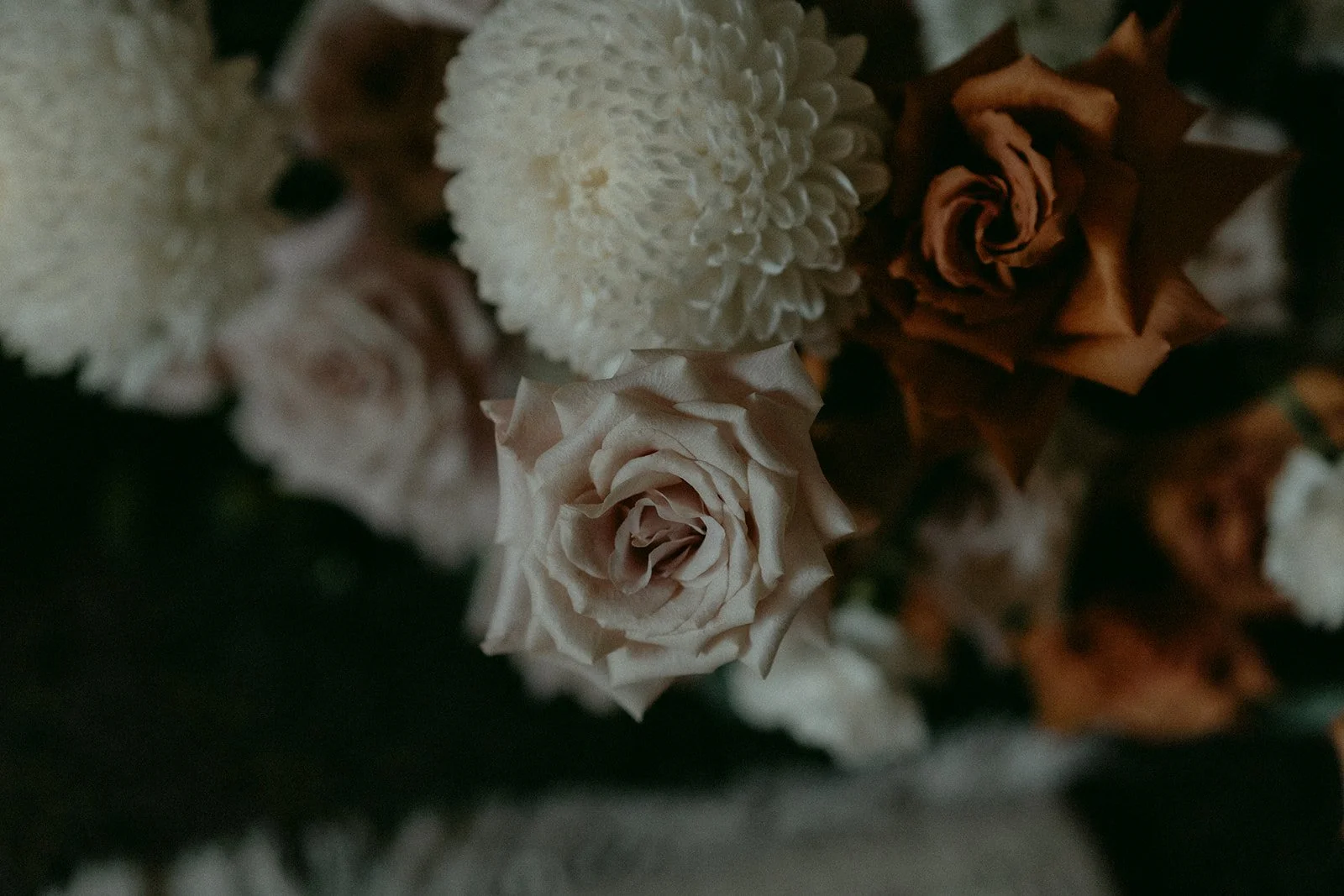 Jils and Niloofar -5.jpg