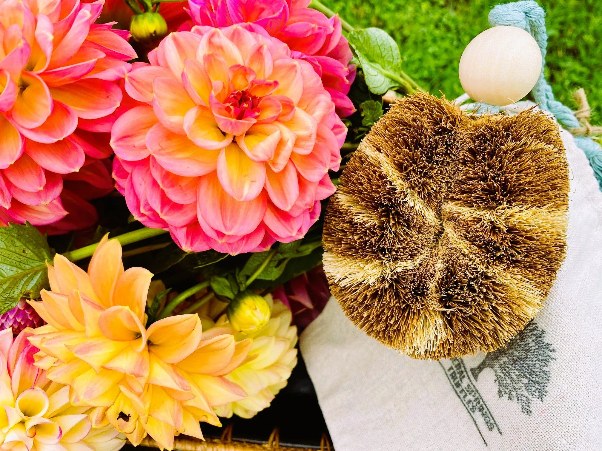 The Gardener's Tawashi Brush Gift Pack — Mineral Springs Truffles