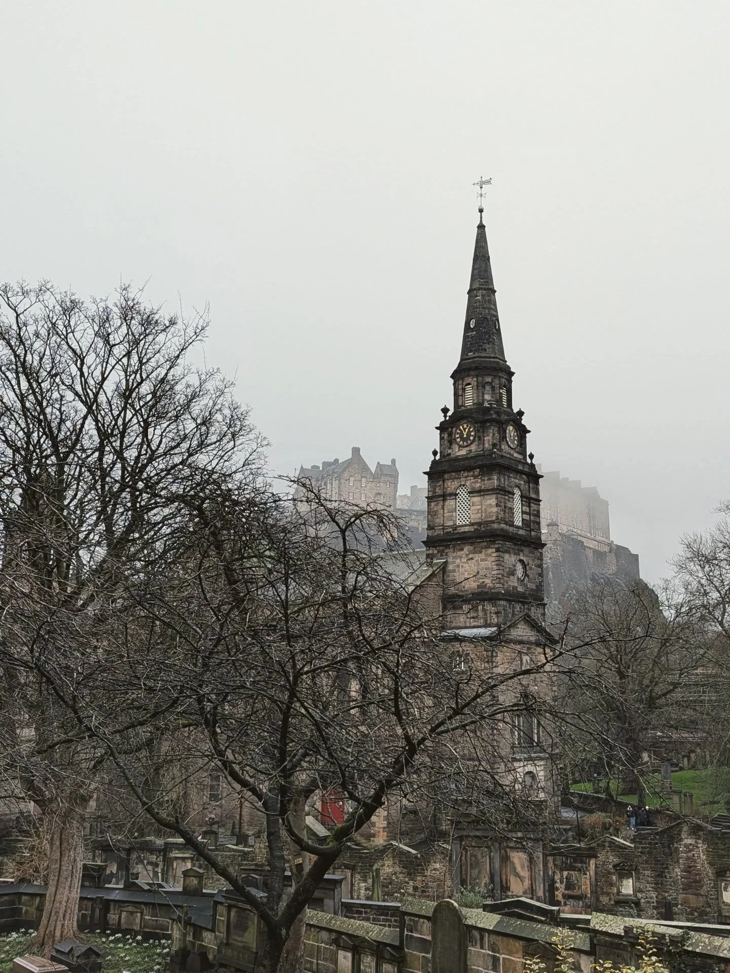 Scotland wears fog and gloom ever so well
🌫️
Which is nice since we're not sure if the sun even exists anymore
🌫️
Castles and grand houses do look best in the mist though 
🌫️
And little snowdrops are seeds of hope
🌫️
#fogappreciation #thiswinteri