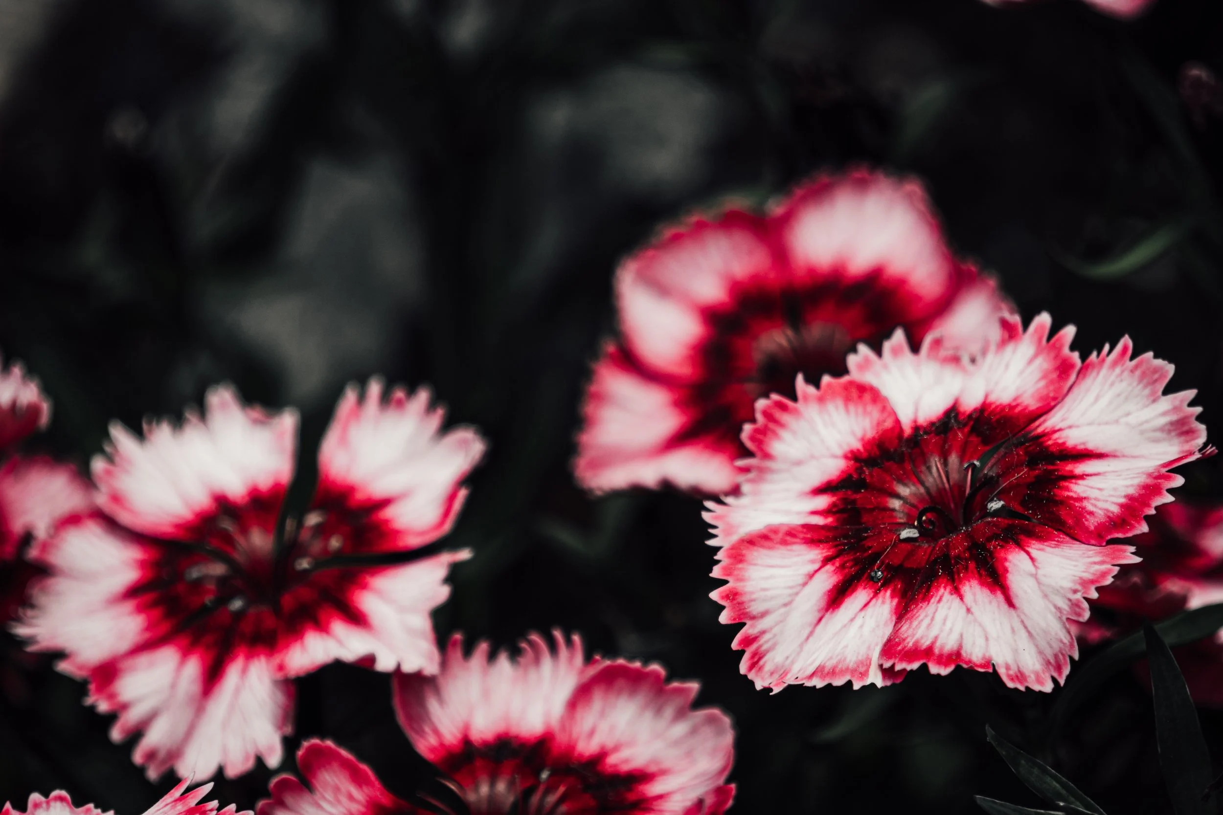 THE PHOTOSHOOT WHERE EVERYTHING CHANGE!!