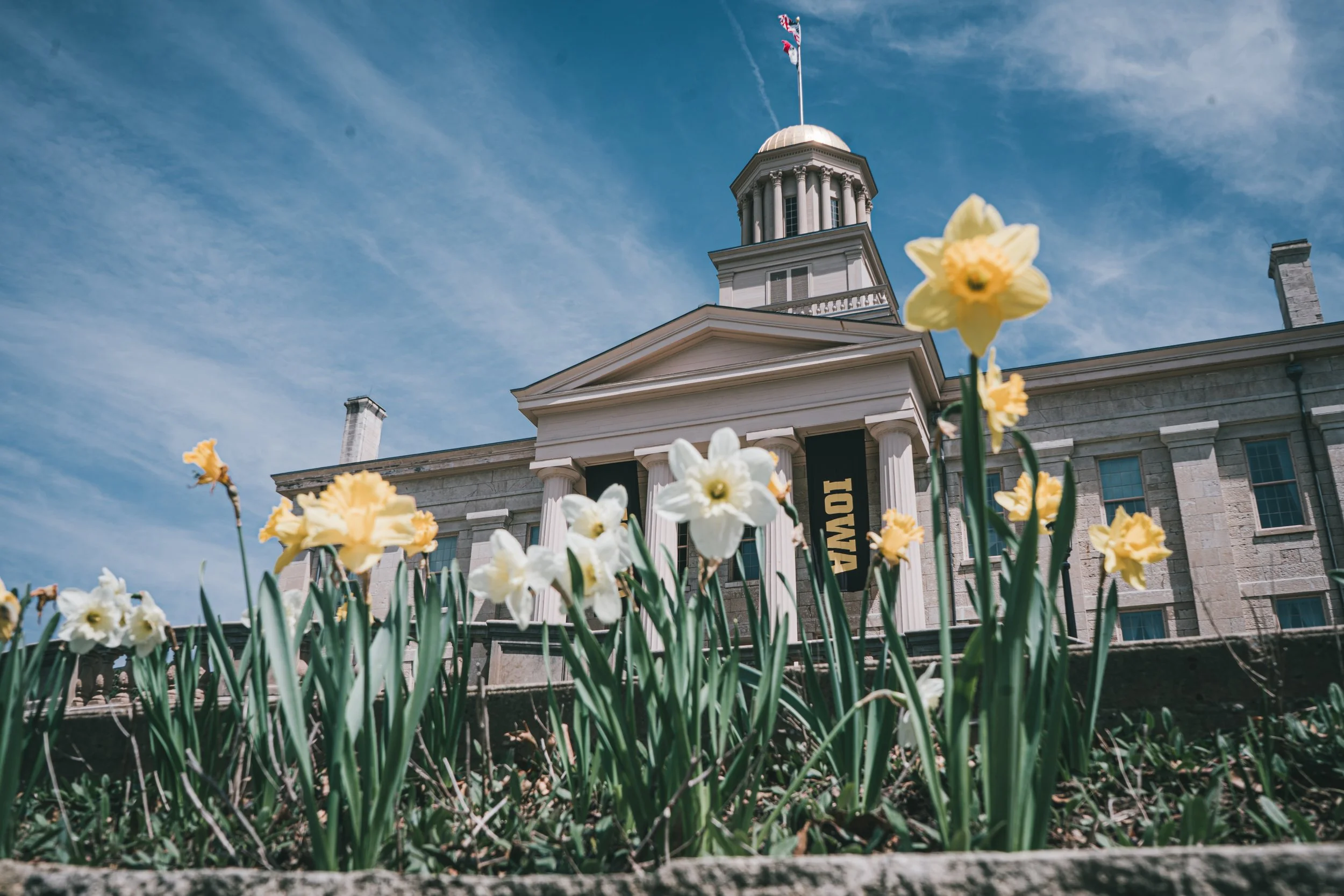 A PICTURE OF THE OLD CAPITAL BUILDING ON A CLOUDY DAY FROM THE GROUND LOOKING UP INTO THE AIR WITH WHITE AND YELLOW FLOWERS IN THE FORGROUND