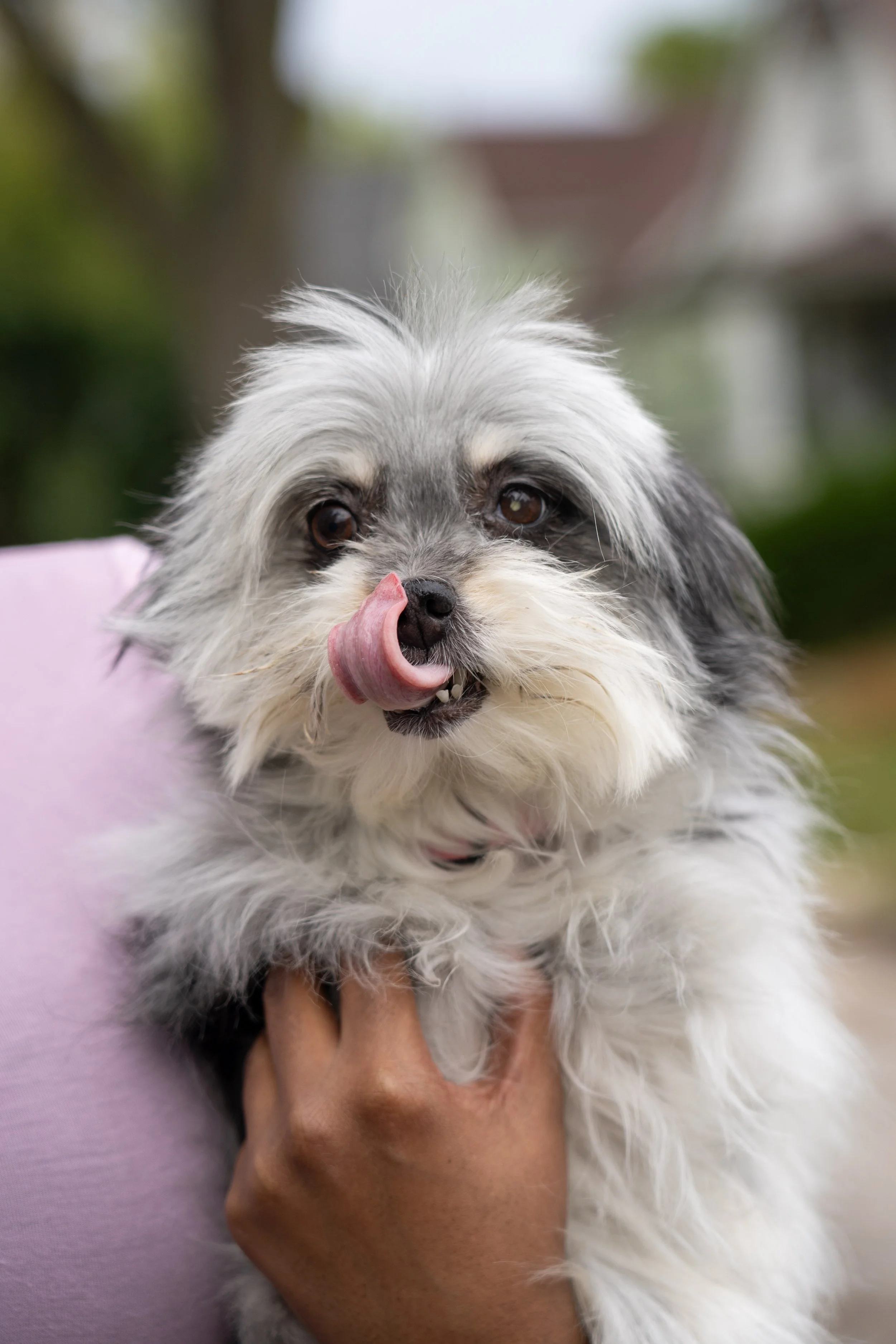 10-15-2025 FAMILY PICS-72.jpeg