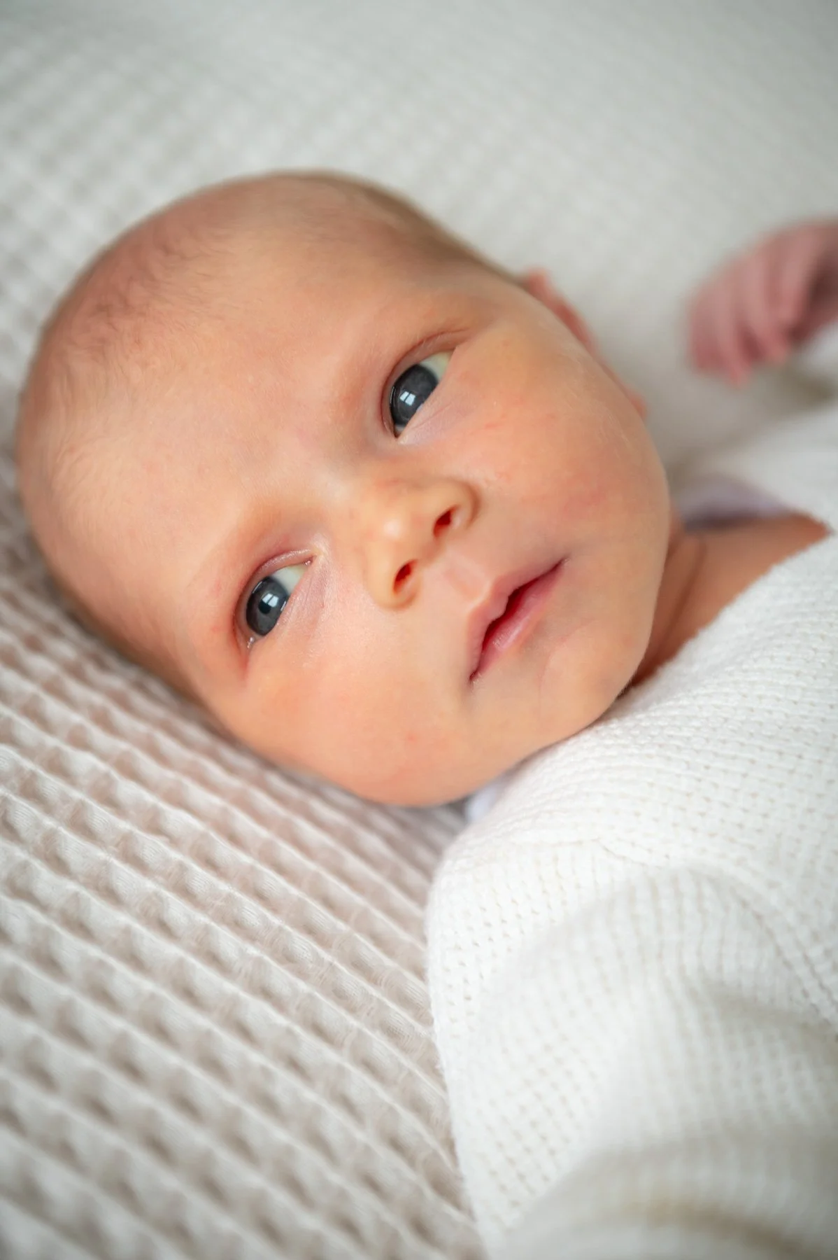 Ottilie-newborn-baby-Photography-at-home-west-sussex-87.jpg