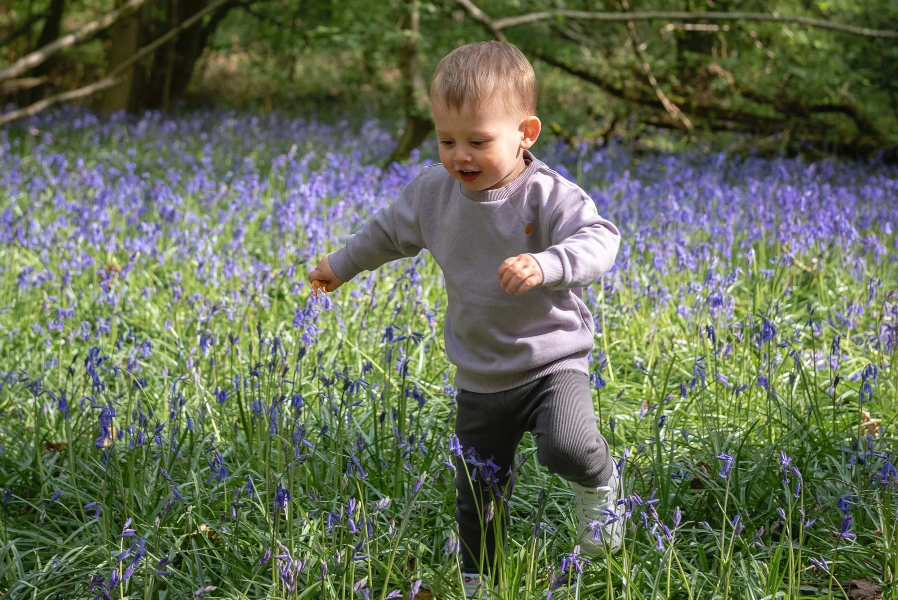 Jade - Bluebell-family-mini-session-Photography-Burgess-Hil-west-sussex-16.jpg