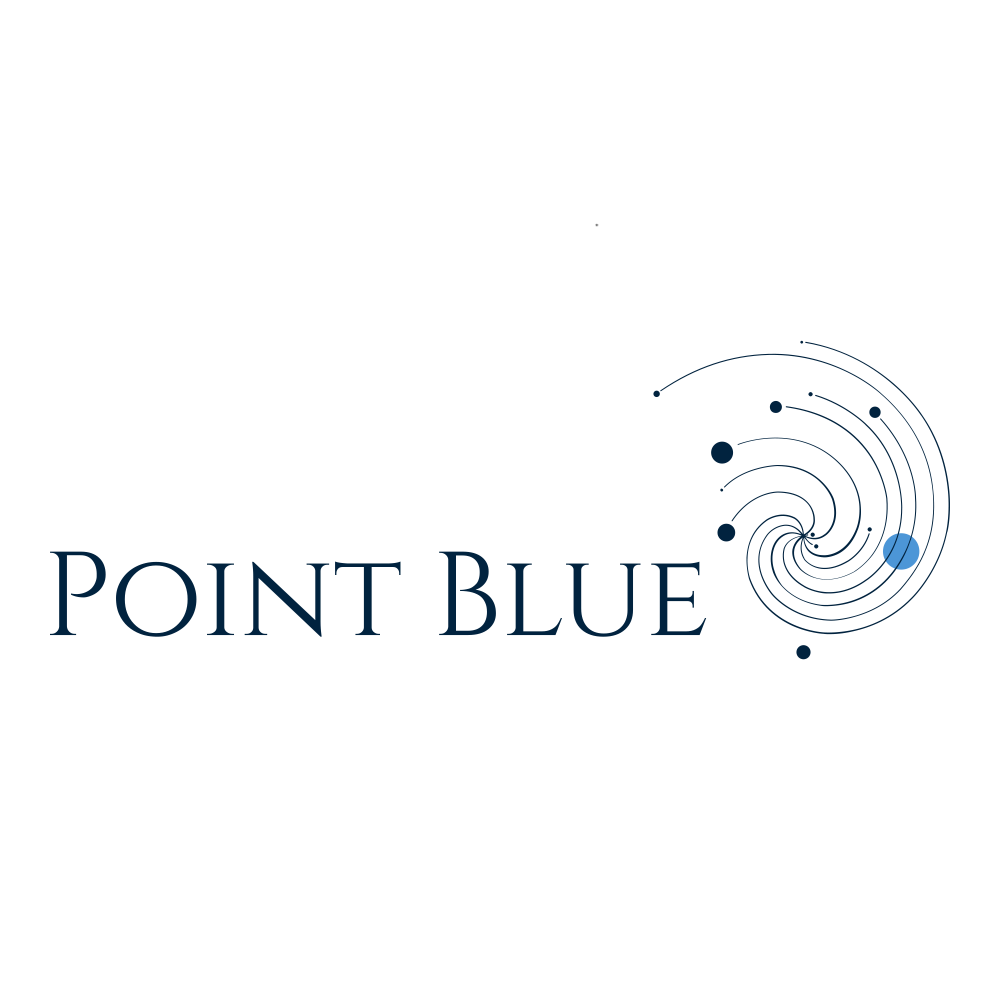 Point Blue Coaching and Consulting