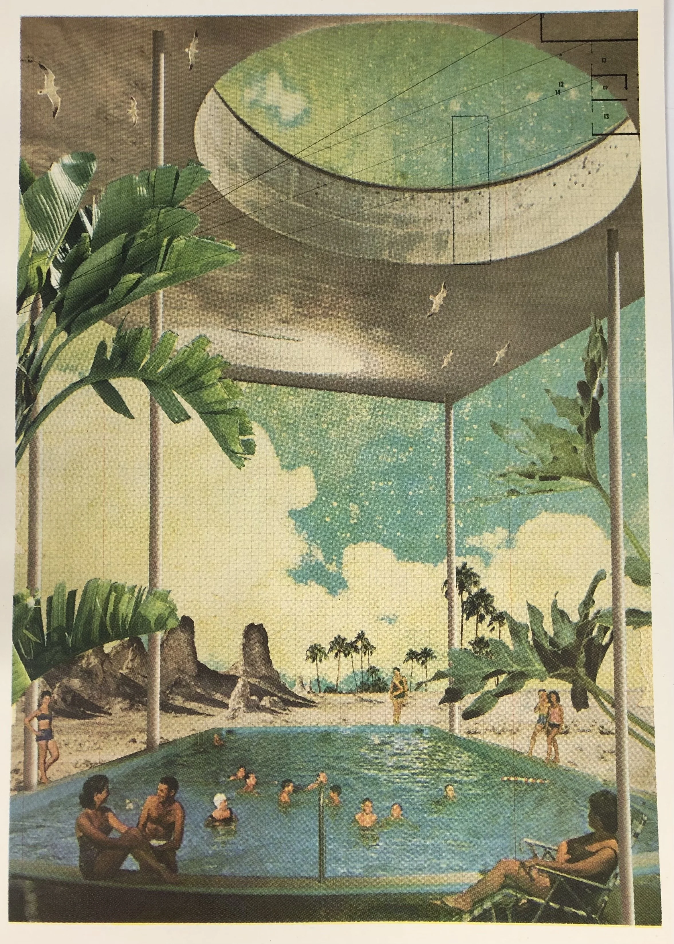 twilight_swim.jpg