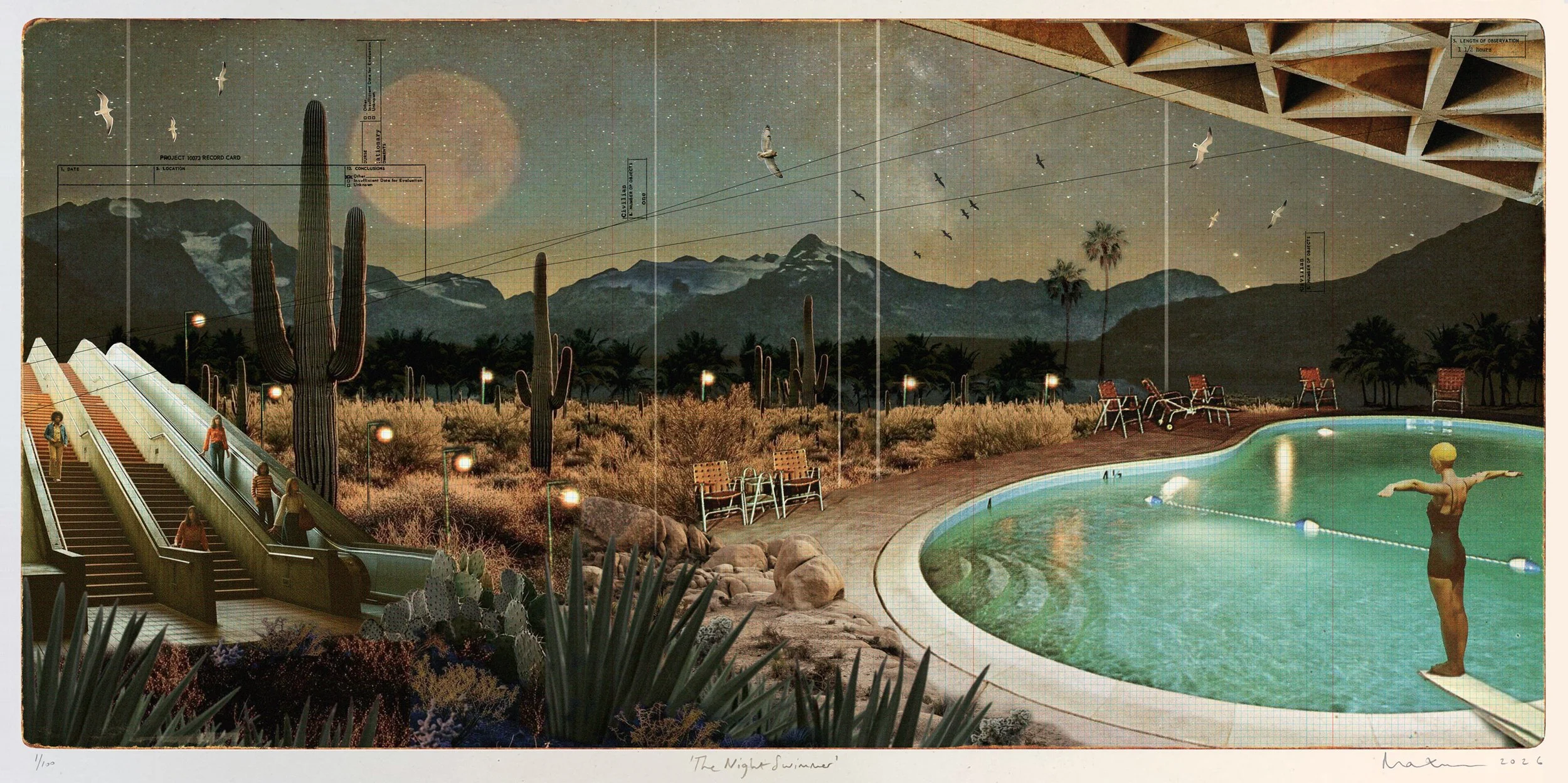 the_night_swimmer.jpg