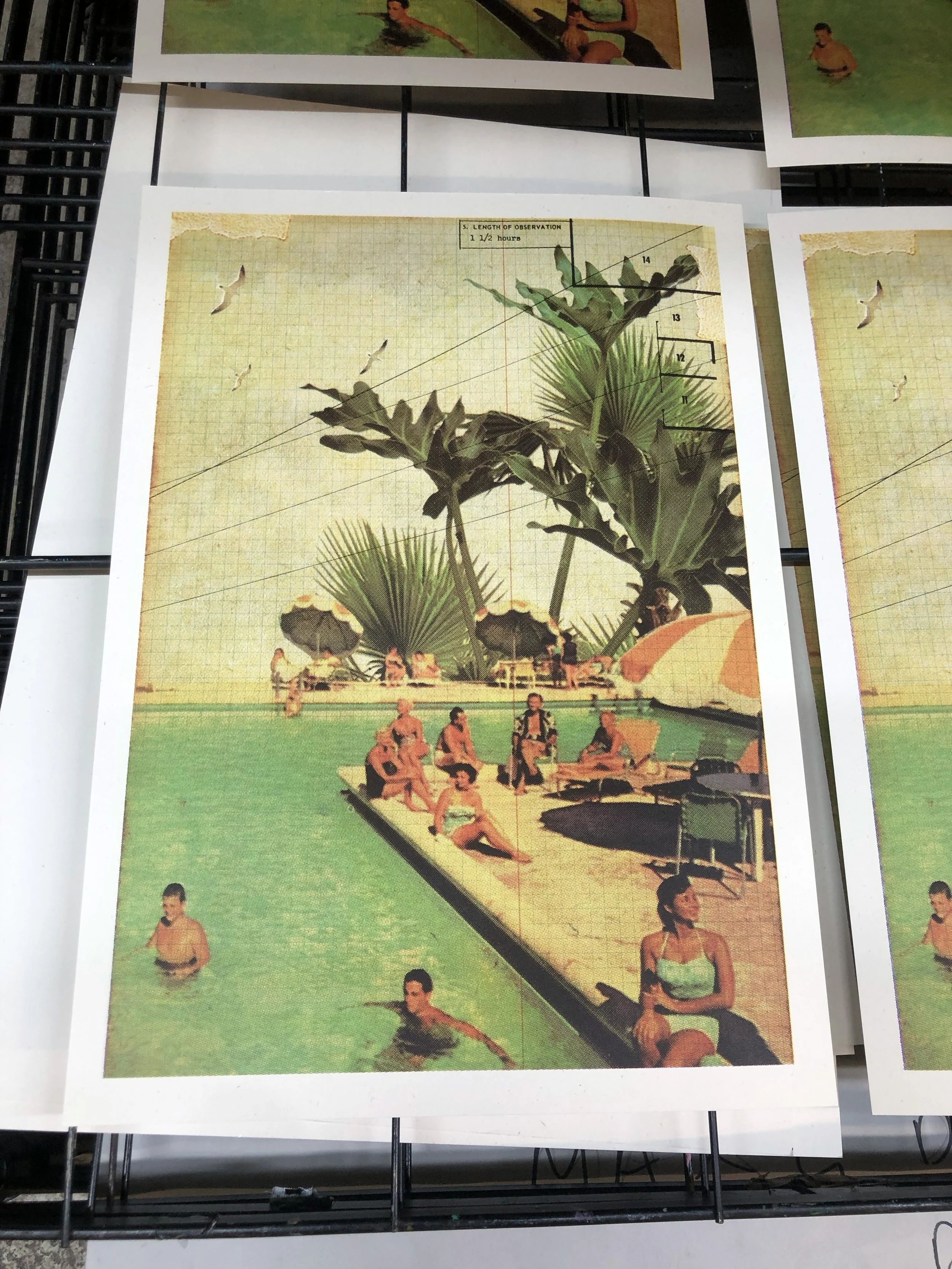 tropical_swim_A3_rack.jpg