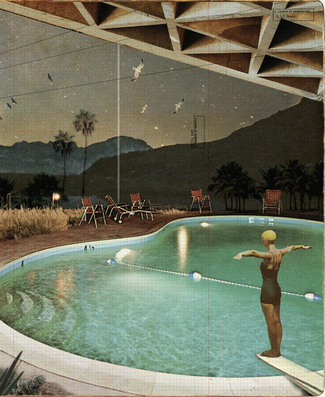 The Night Swimmer