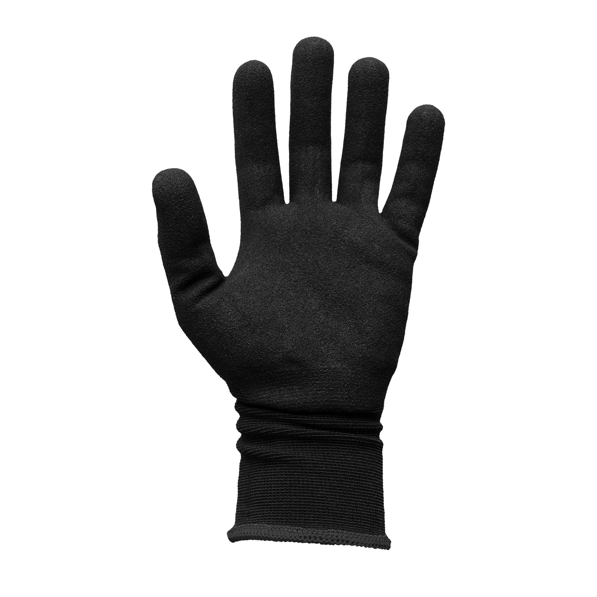 GLOVES TRANS FLATLAY BACK.png